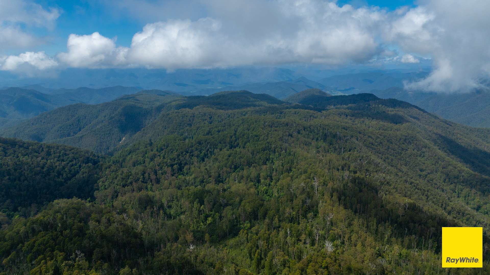 Dorrigo Sold by Farmbuy.com - image 15