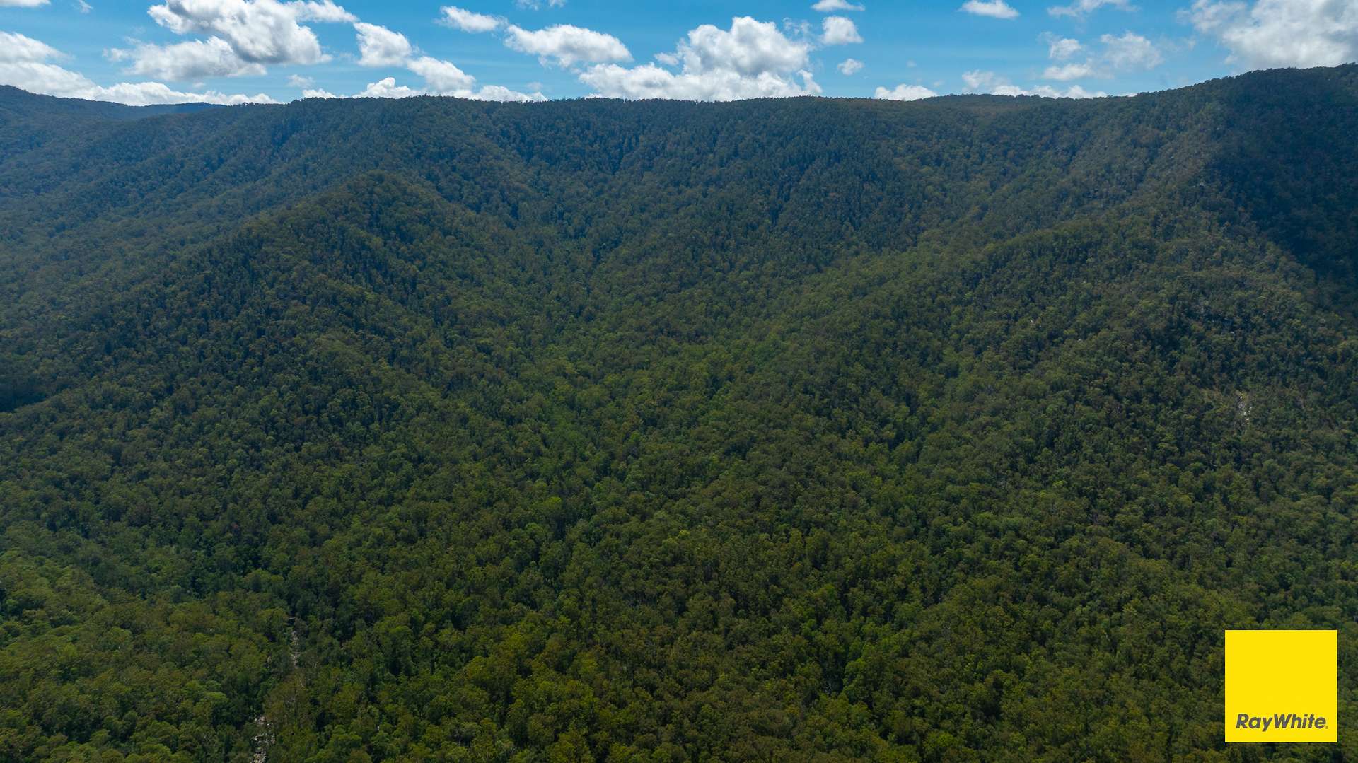 Dorrigo Sold by Farmbuy.com - image 22