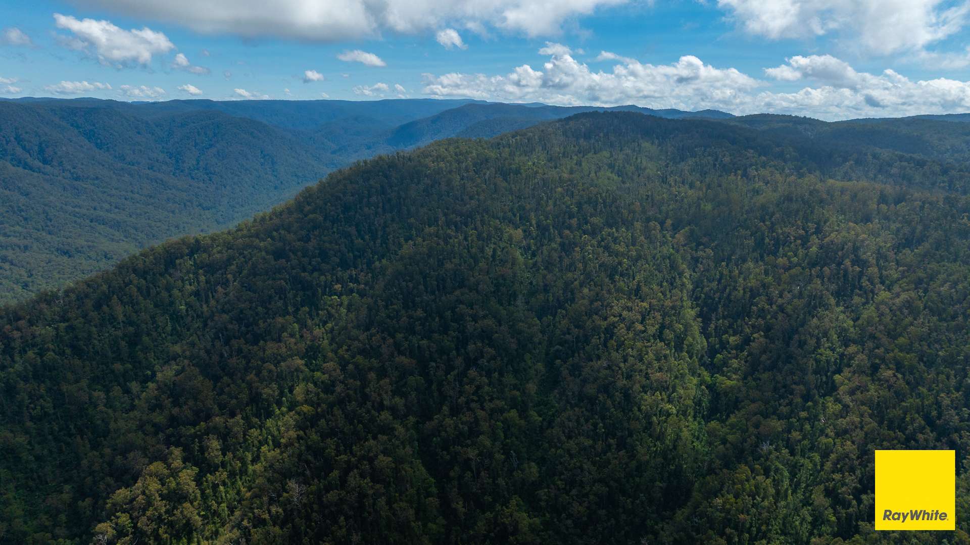Dorrigo Sold by Farmbuy.com - image 19