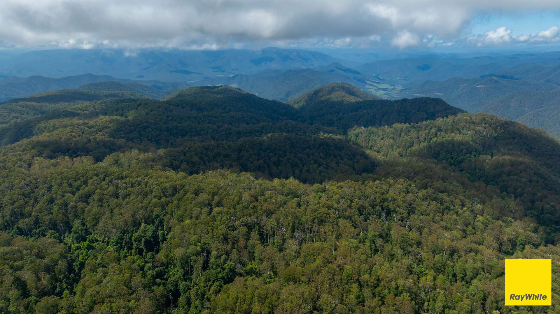 Dorrigo Sold by Farmbuy.com - image 17