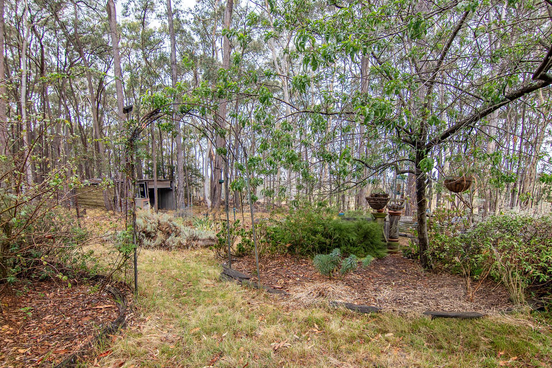 855 Bonds Road, Mudgee Sold by Farmbuy.com - image 12