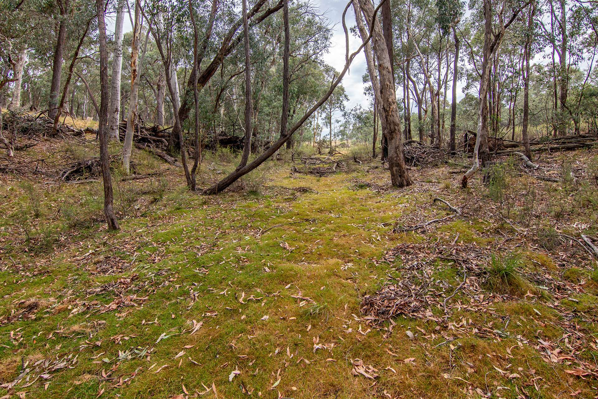 855 Bonds Road, Mudgee Sold by Farmbuy.com - image 17