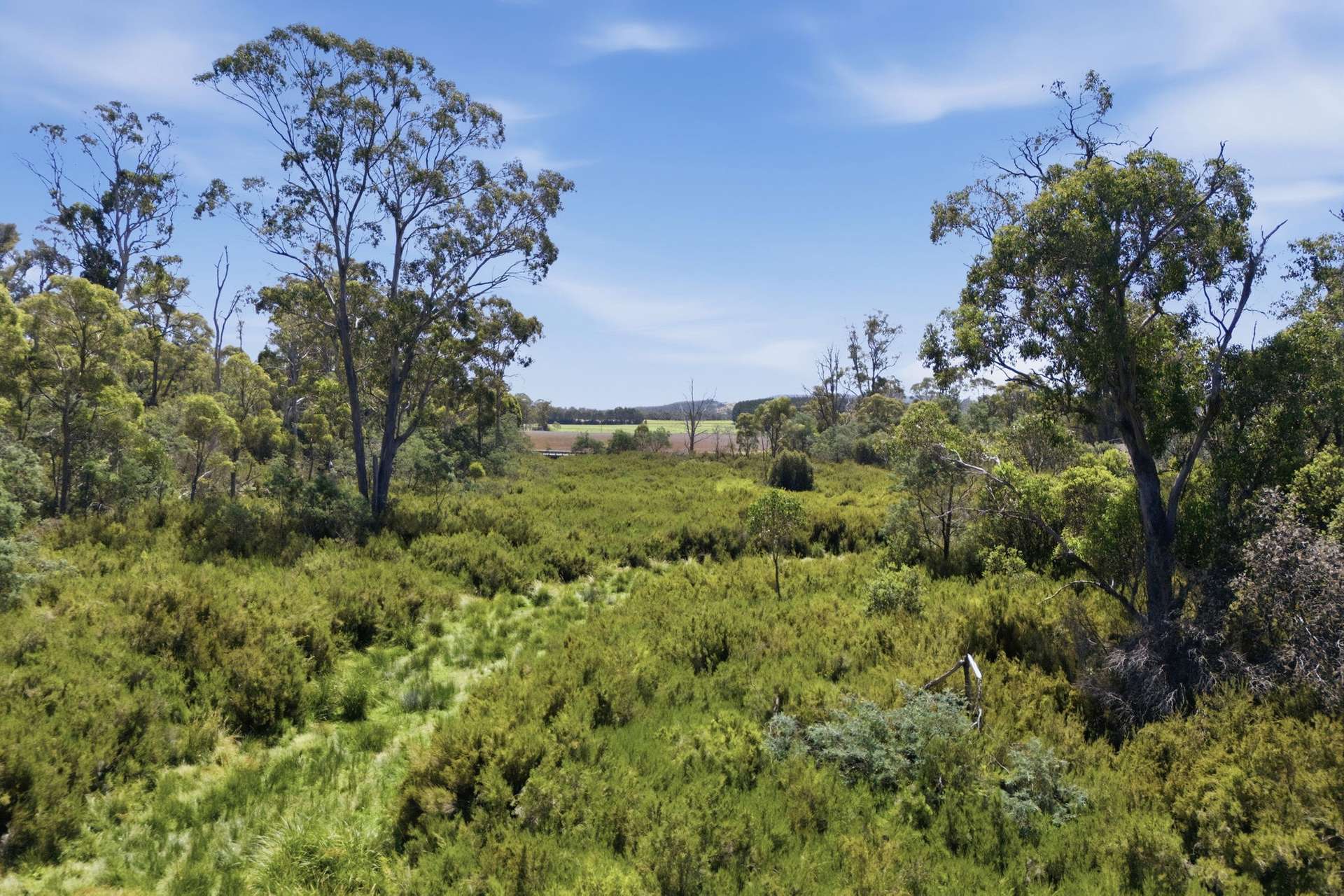 PID 7420016 Bridgenorth Road, Westwood Sold by Farmbuy.com - image 7