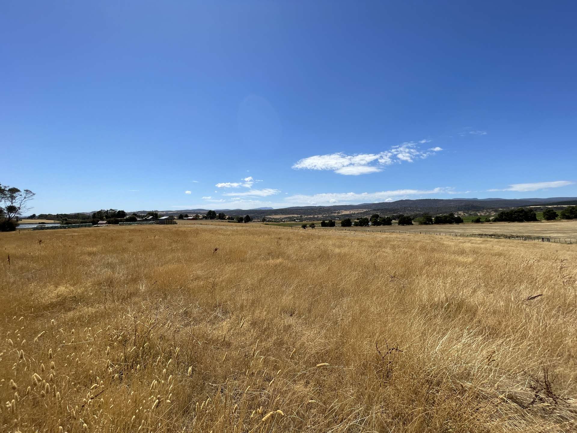 25 White Hills Road, White Hills For Sale by Farmbuy.com - image 28
