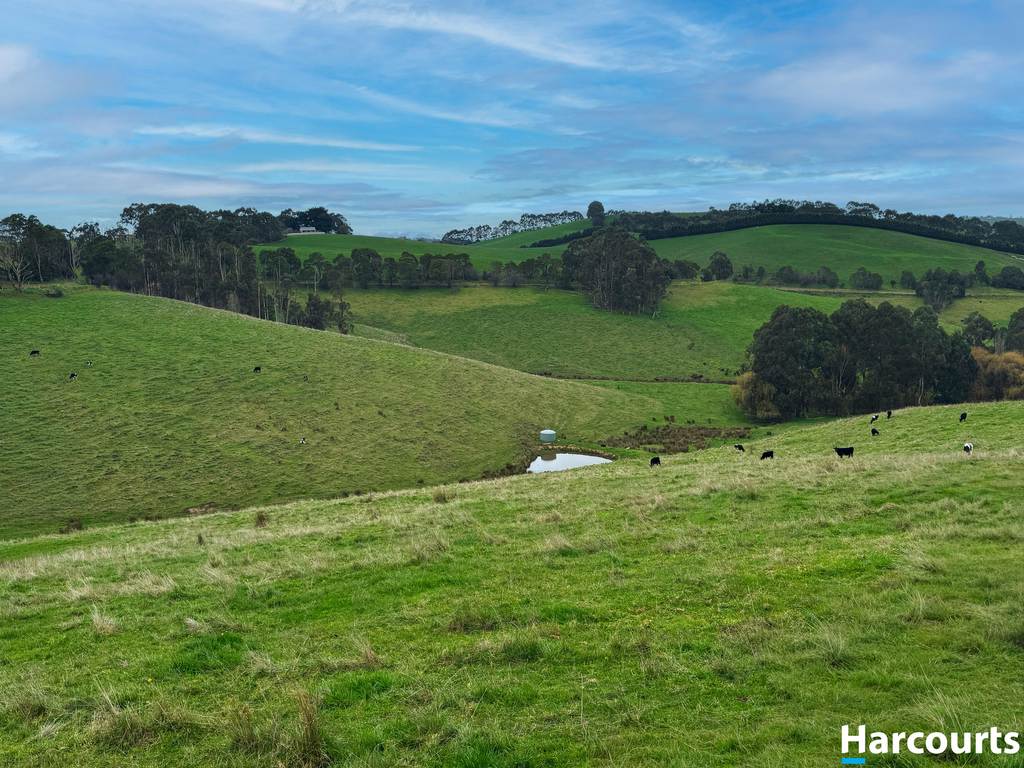 625 Boorool Road, Berrys Creek VIC 3953