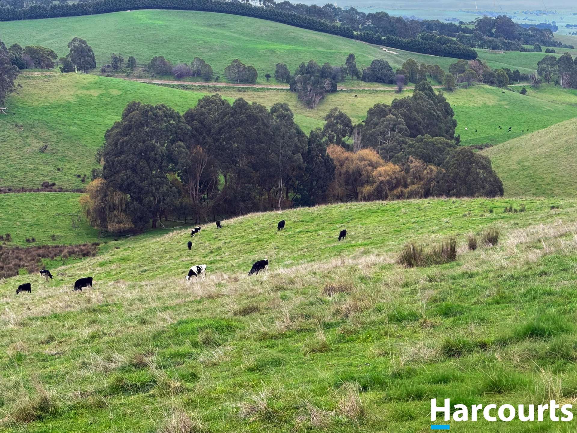 625 Boorool Road, Berrys Creek For Sale by Farmbuy.com - image 7