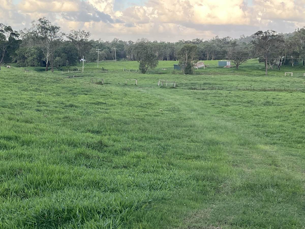23608 Peak Downs Highway, Eton For Sale by Farmbuy.com - image 18