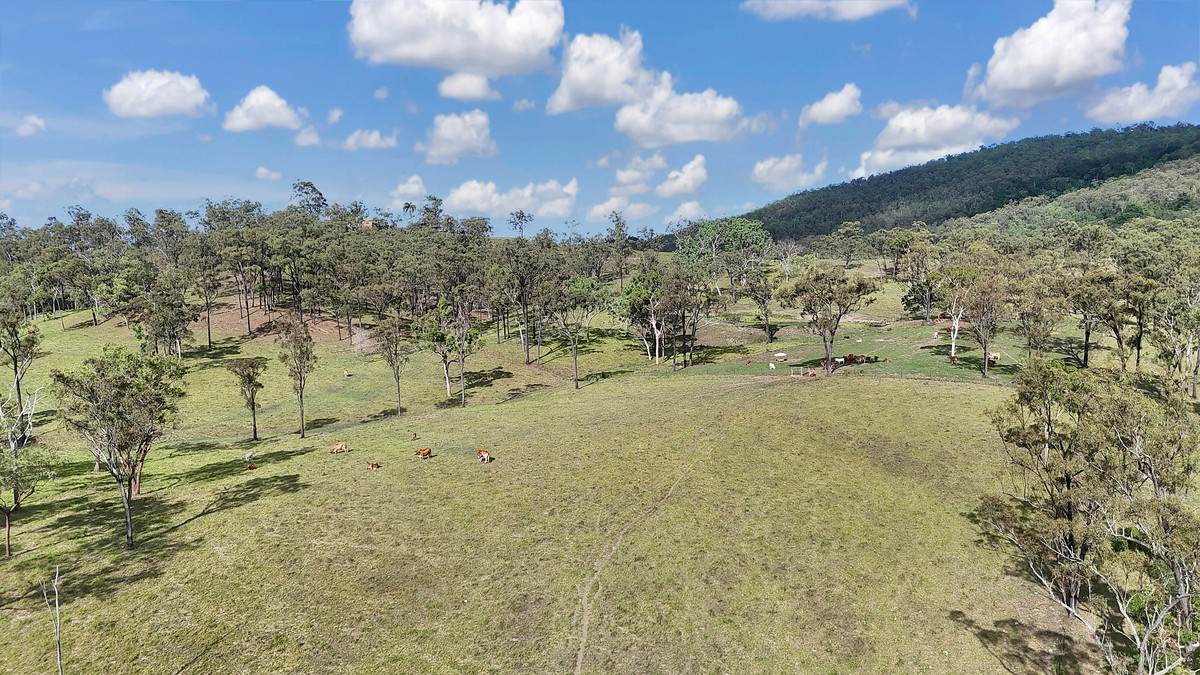 23608 Peak Downs Highway, Eton For Sale by Farmbuy.com - image 10