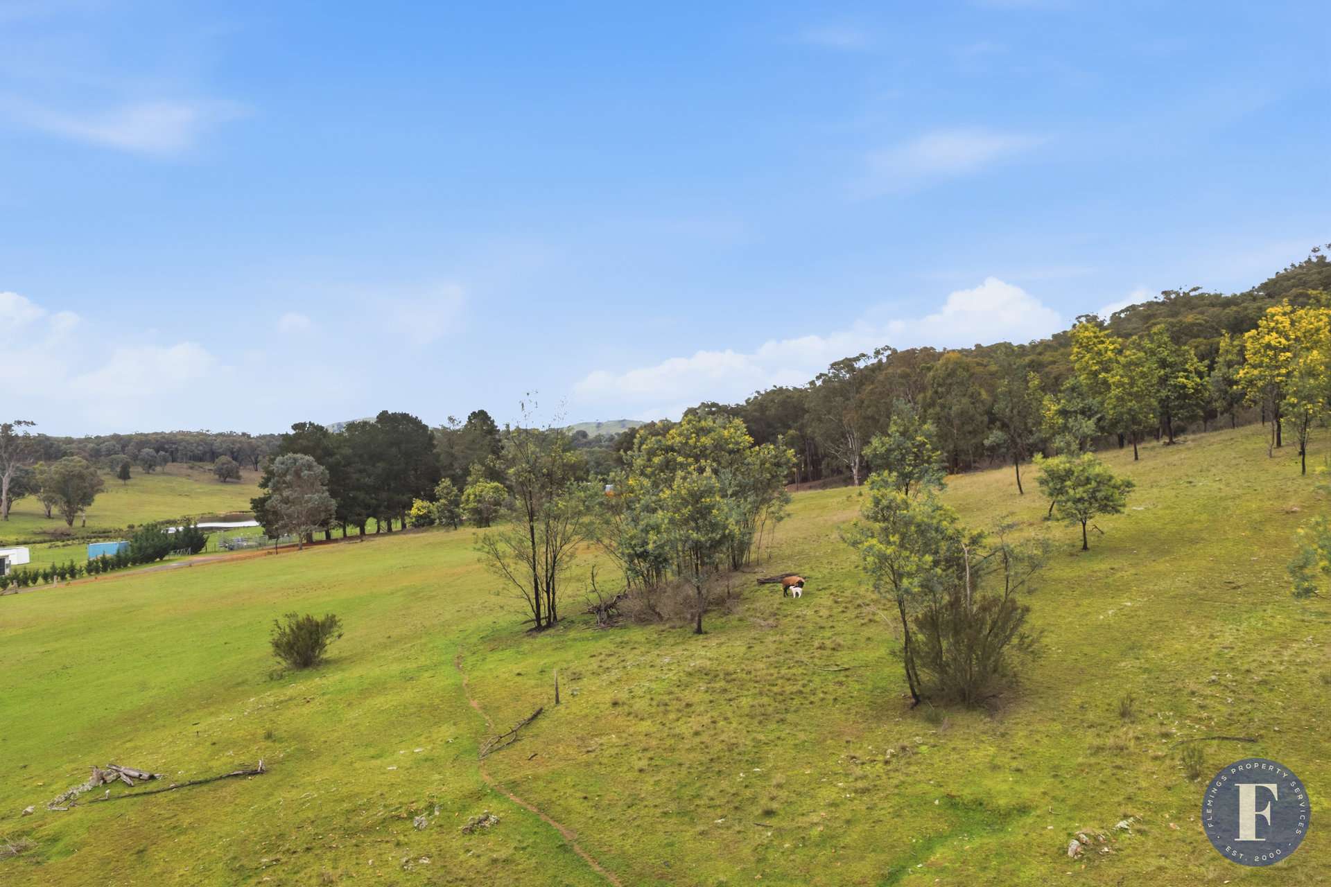 863B Taylors Flat Road, Taylors Flat For Sale by Farmbuy.com - image 17