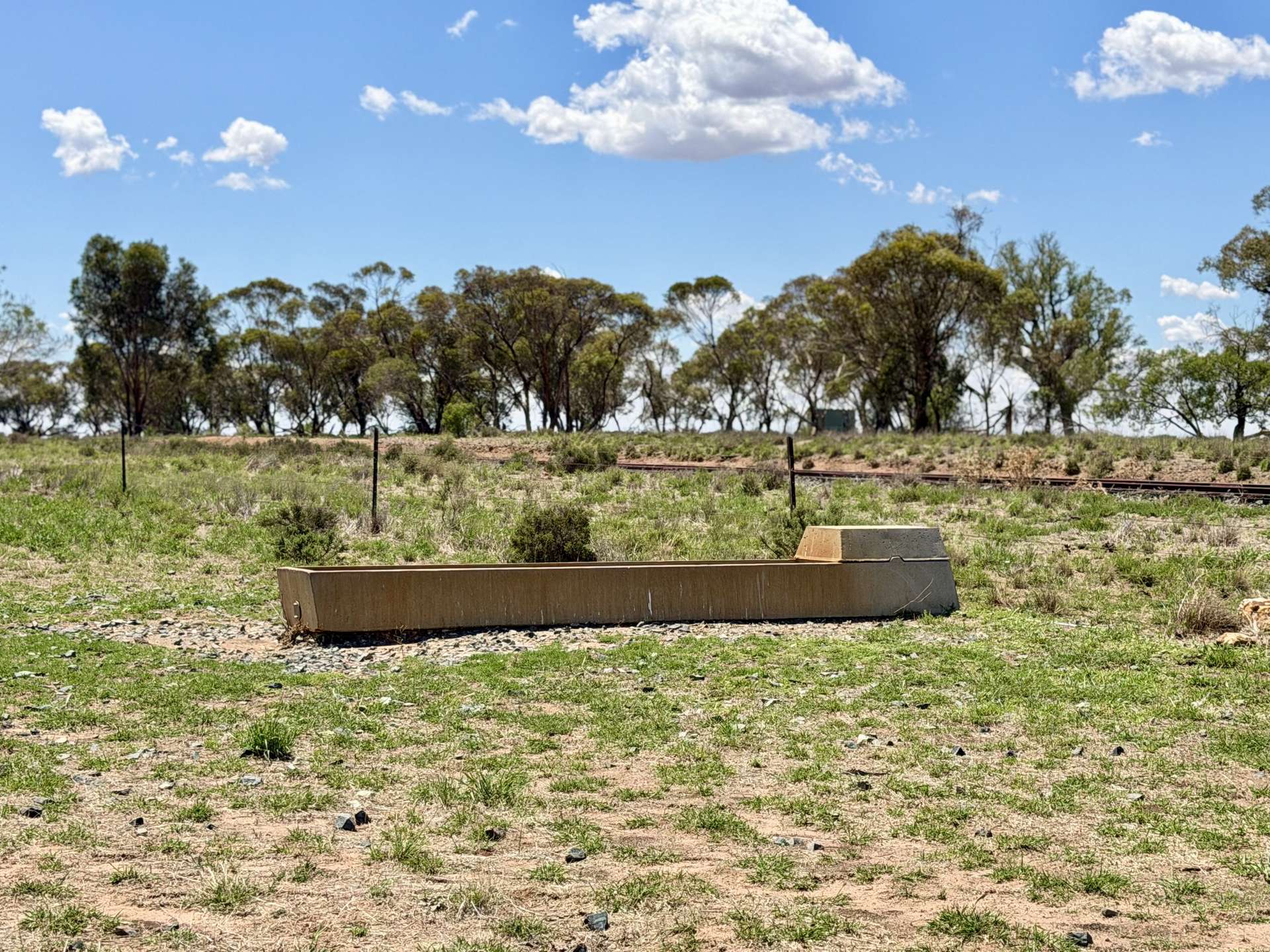 735 Clear Ridge Road, Wyalong For Sale by Farmbuy.com - image 10