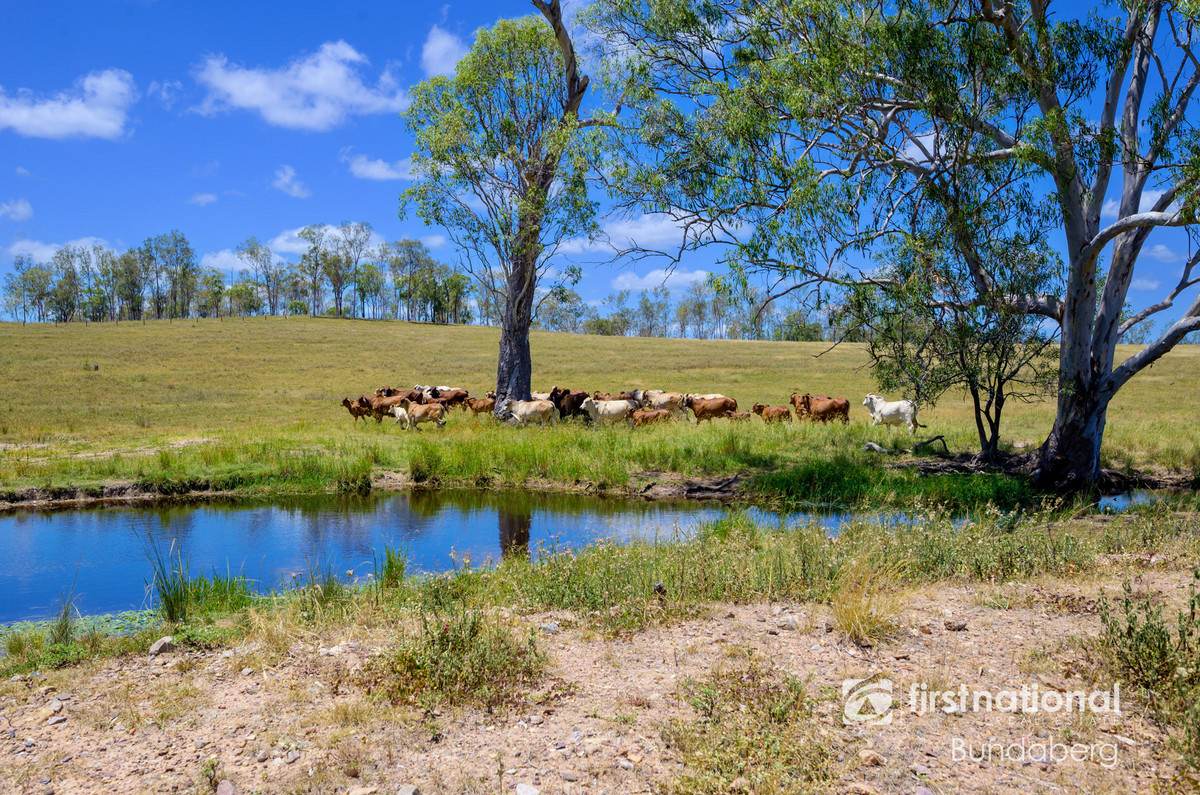 Lot 1,  Stebhens Road, Bungadoo For Sale by Farmbuy.com - image 10