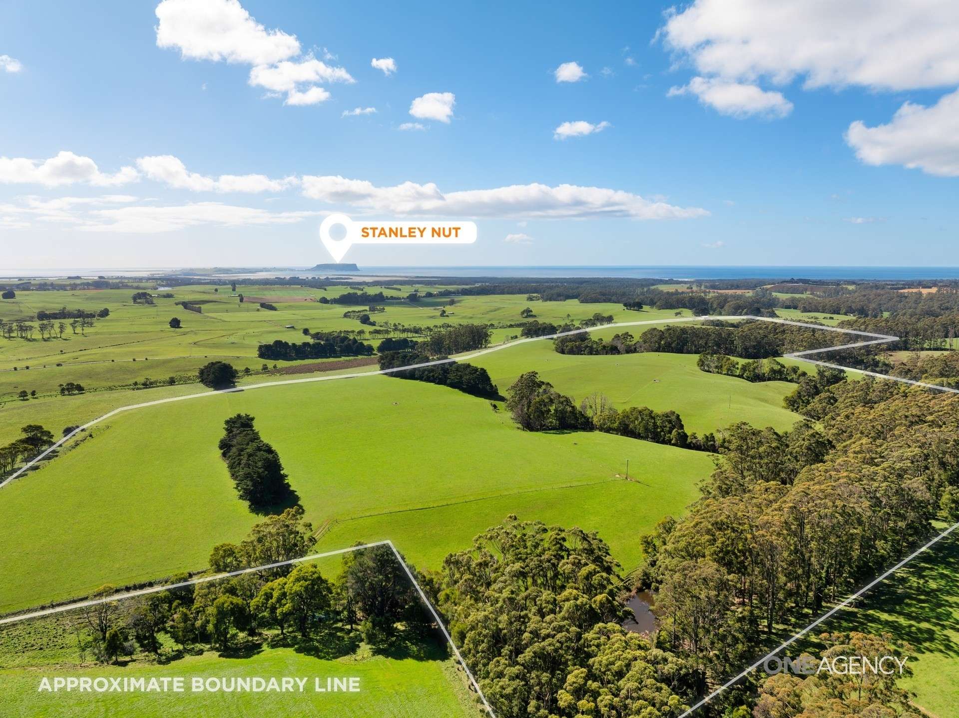 206 Murrays Lane, South Forest For Sale by Farmbuy.com - image 7