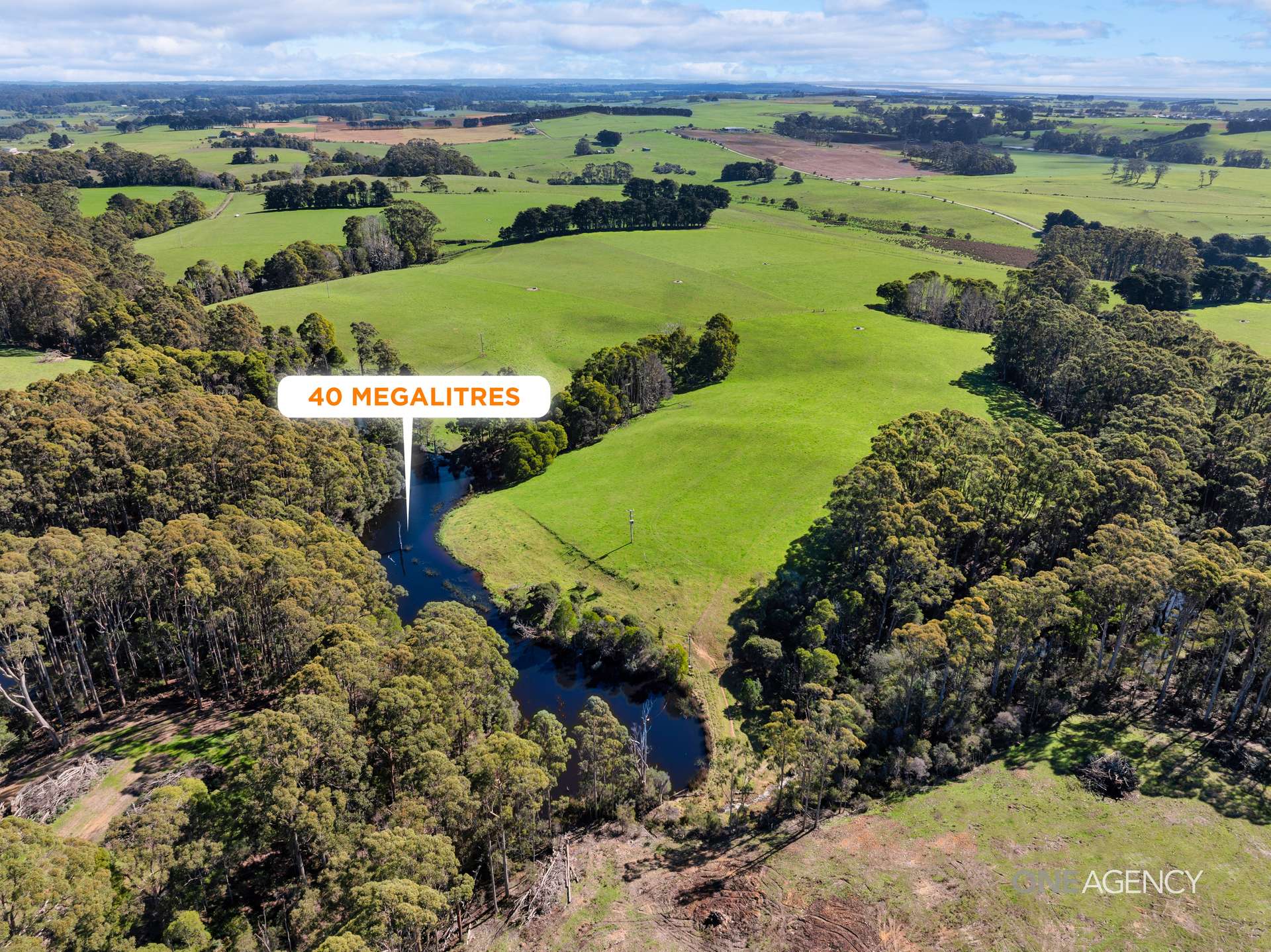 206 Murrays Lane, South Forest For Sale by Farmbuy.com - image 4