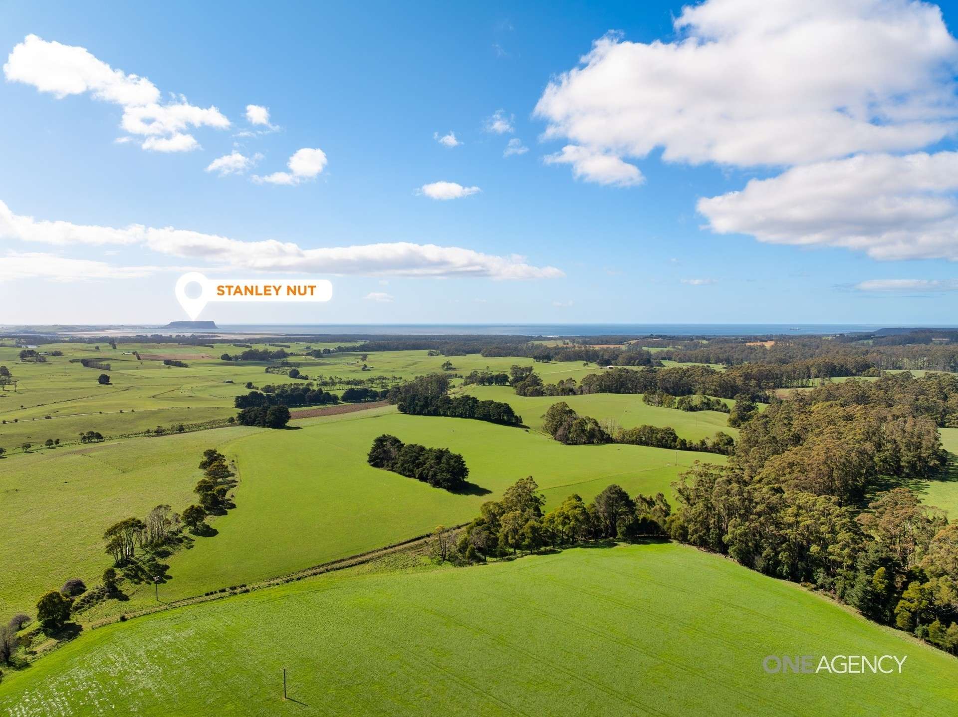 206 Murrays Lane, South Forest For Sale by Farmbuy.com - image 6