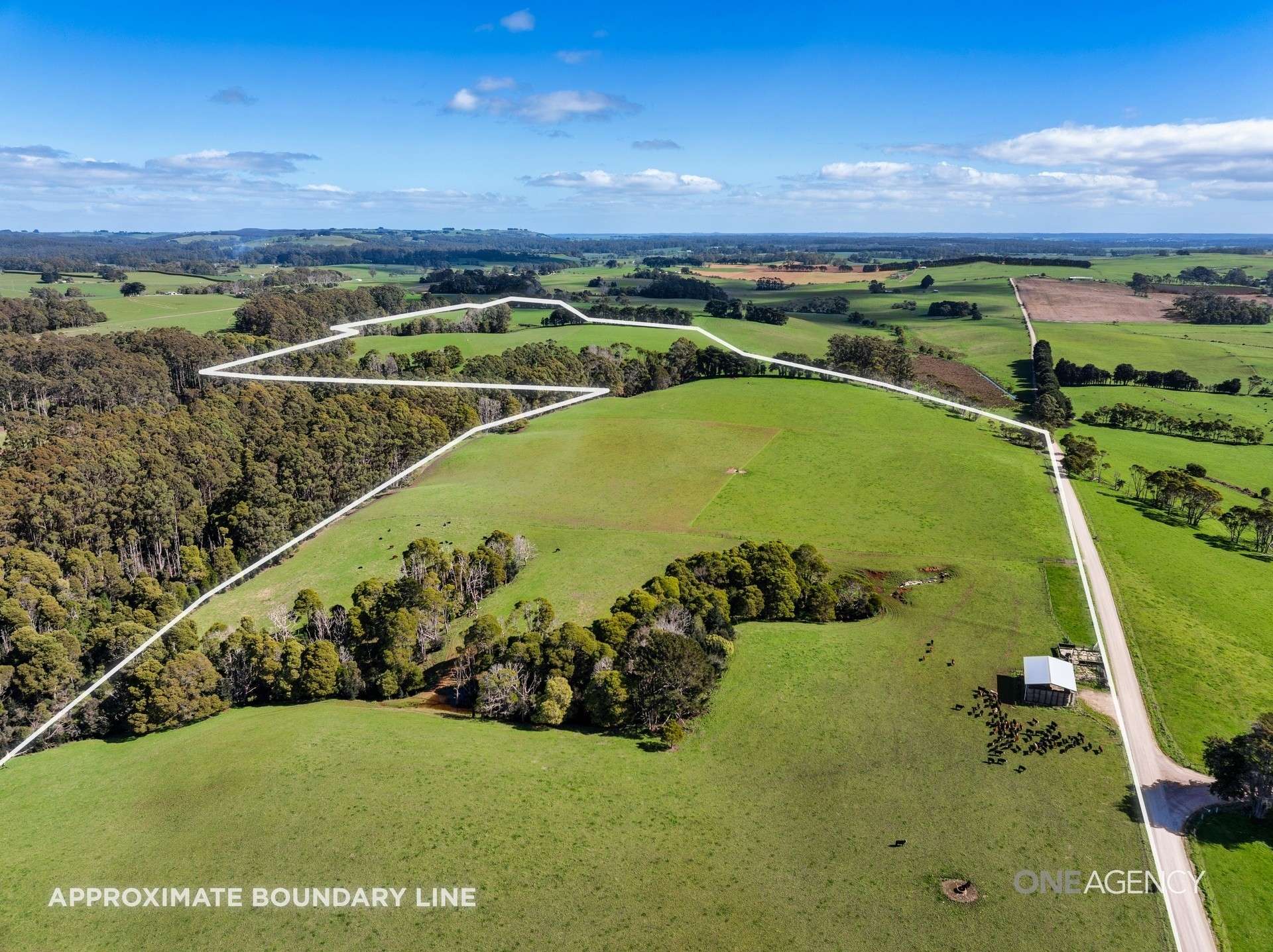 206 Murrays Lane, South Forest For Sale by Farmbuy.com - image 2