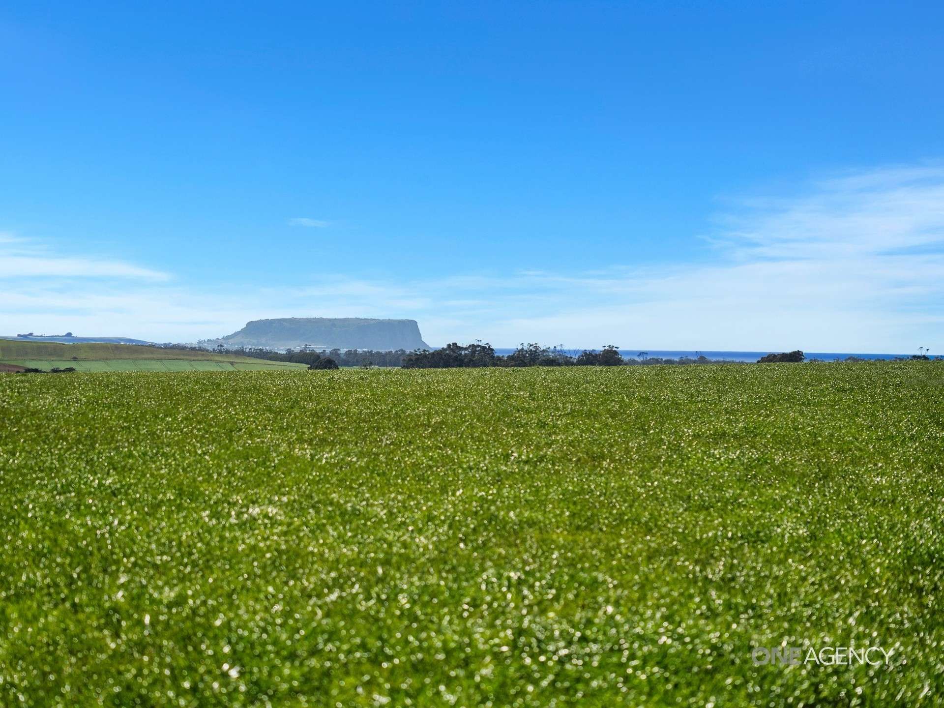 206 Murrays Lane, South Forest For Sale by Farmbuy.com - image 8