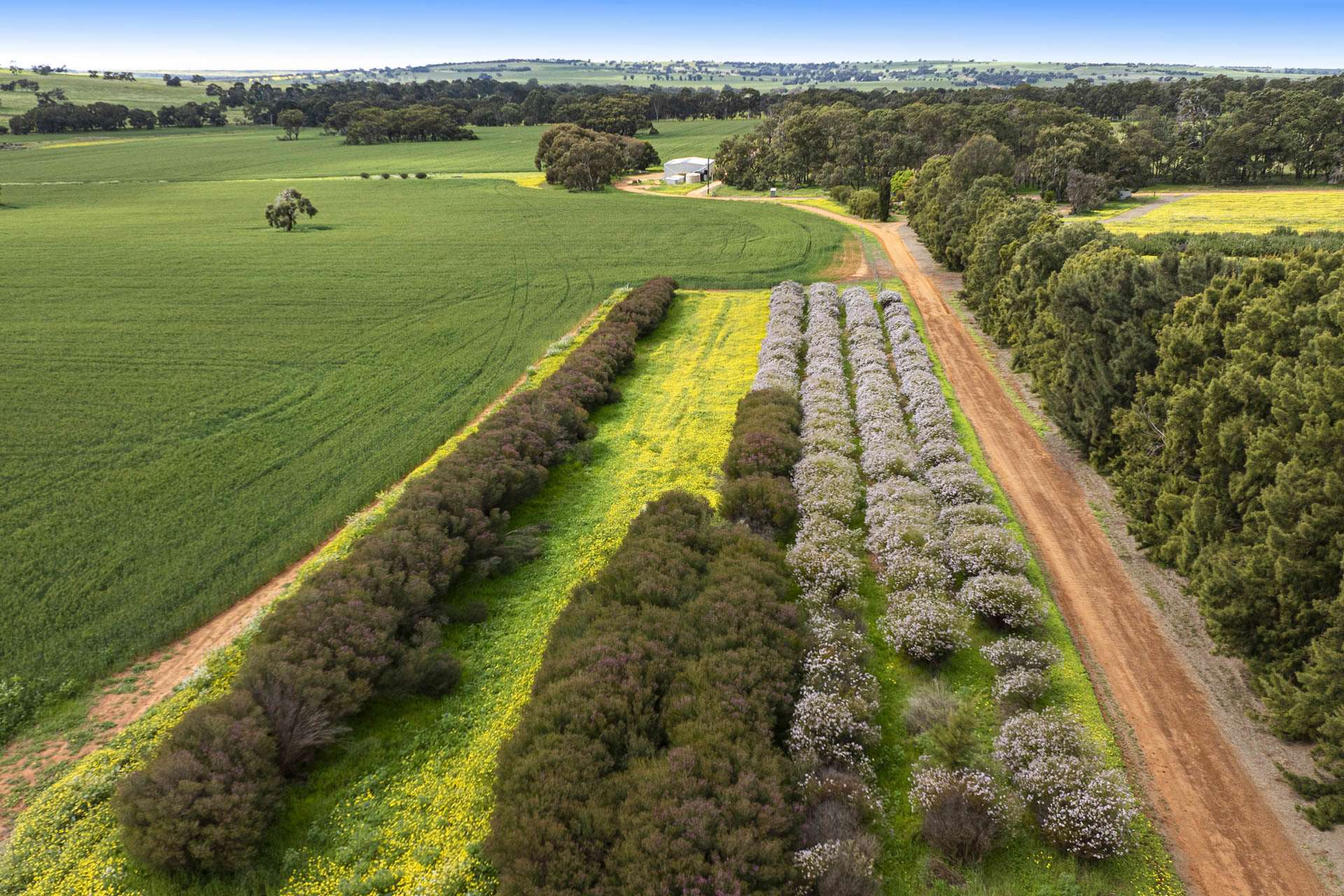 89 Vine Cottage Lane, Dandaragan For Sale by Farmbuy.com - image 26