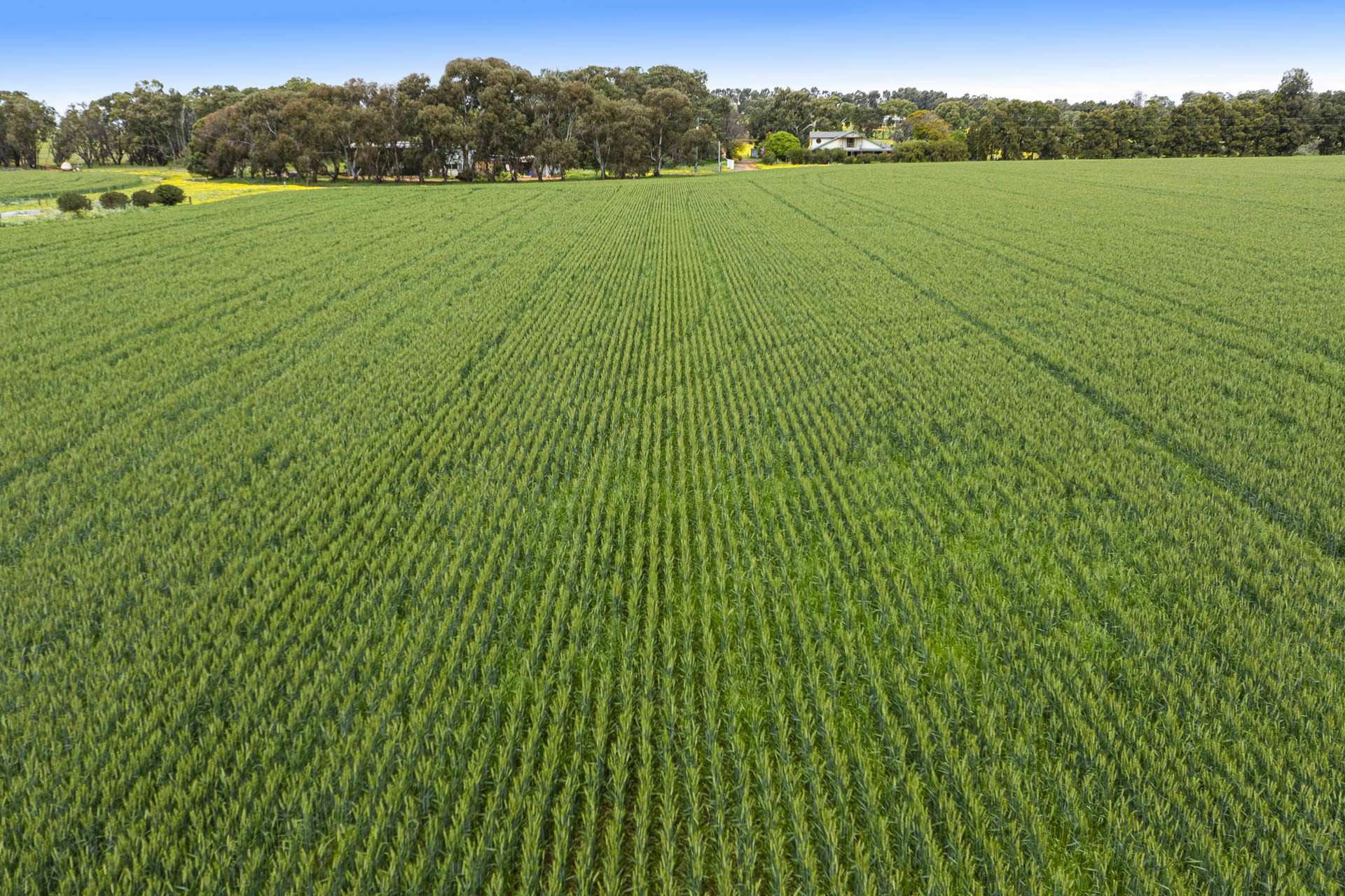 89 Vine Cottage Lane, Dandaragan For Sale by Farmbuy.com - image 28