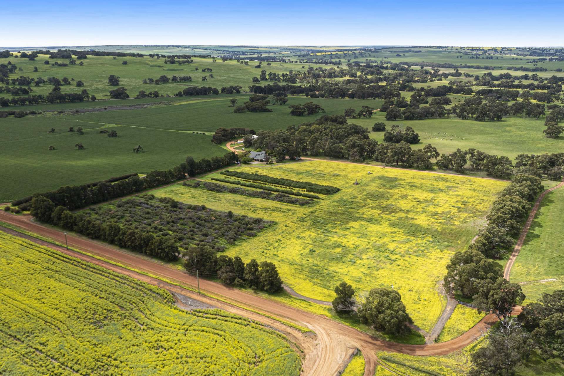 89 Vine Cottage Lane, Dandaragan For Sale by Farmbuy.com - image 3