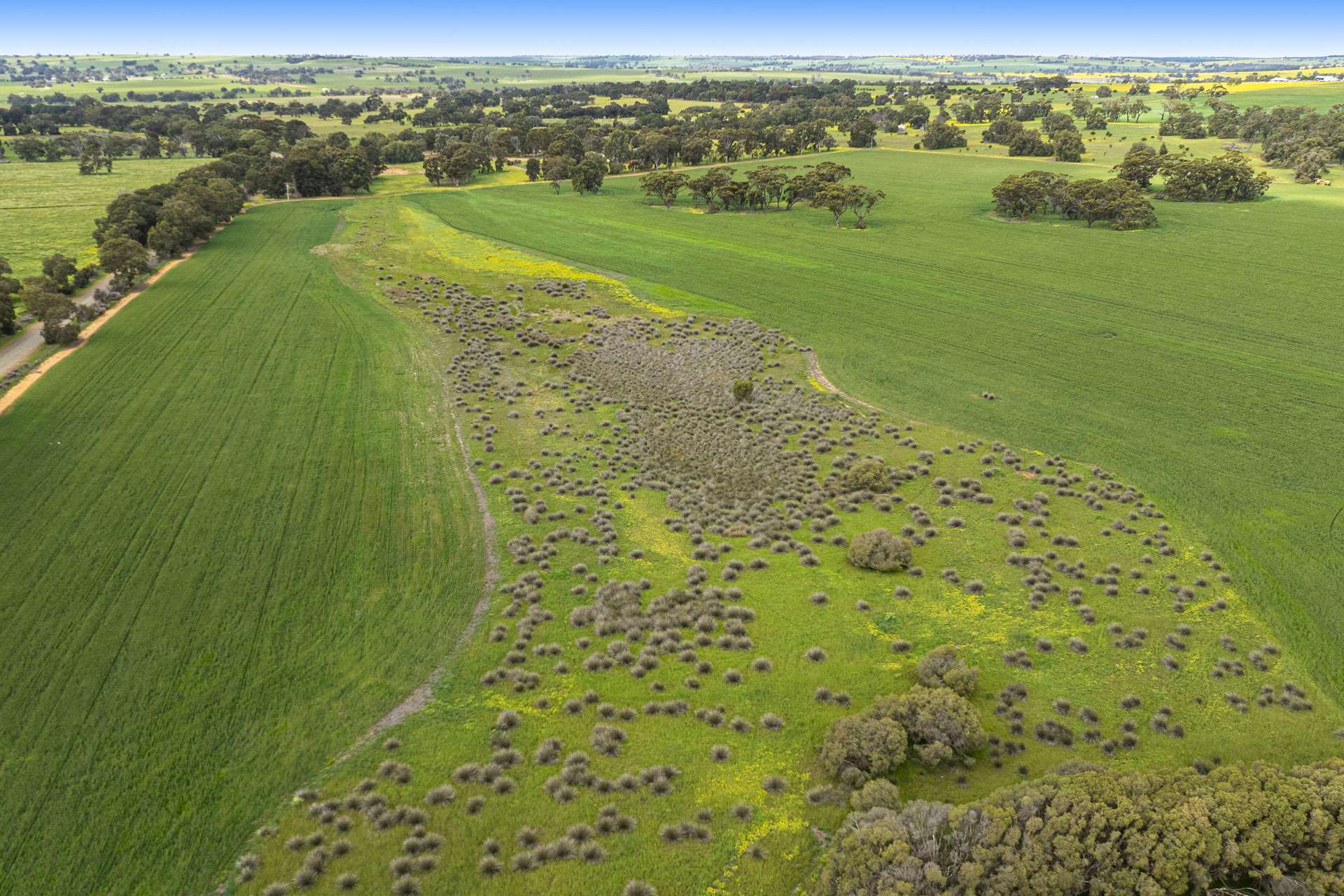 89 Vine Cottage Lane, Dandaragan For Sale by Farmbuy.com - image 25