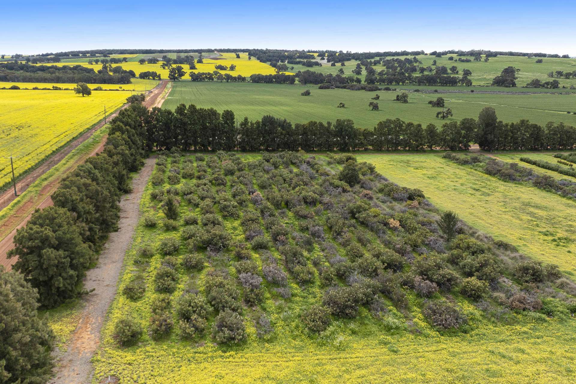 89 Vine Cottage Lane, Dandaragan For Sale by Farmbuy.com - image 18