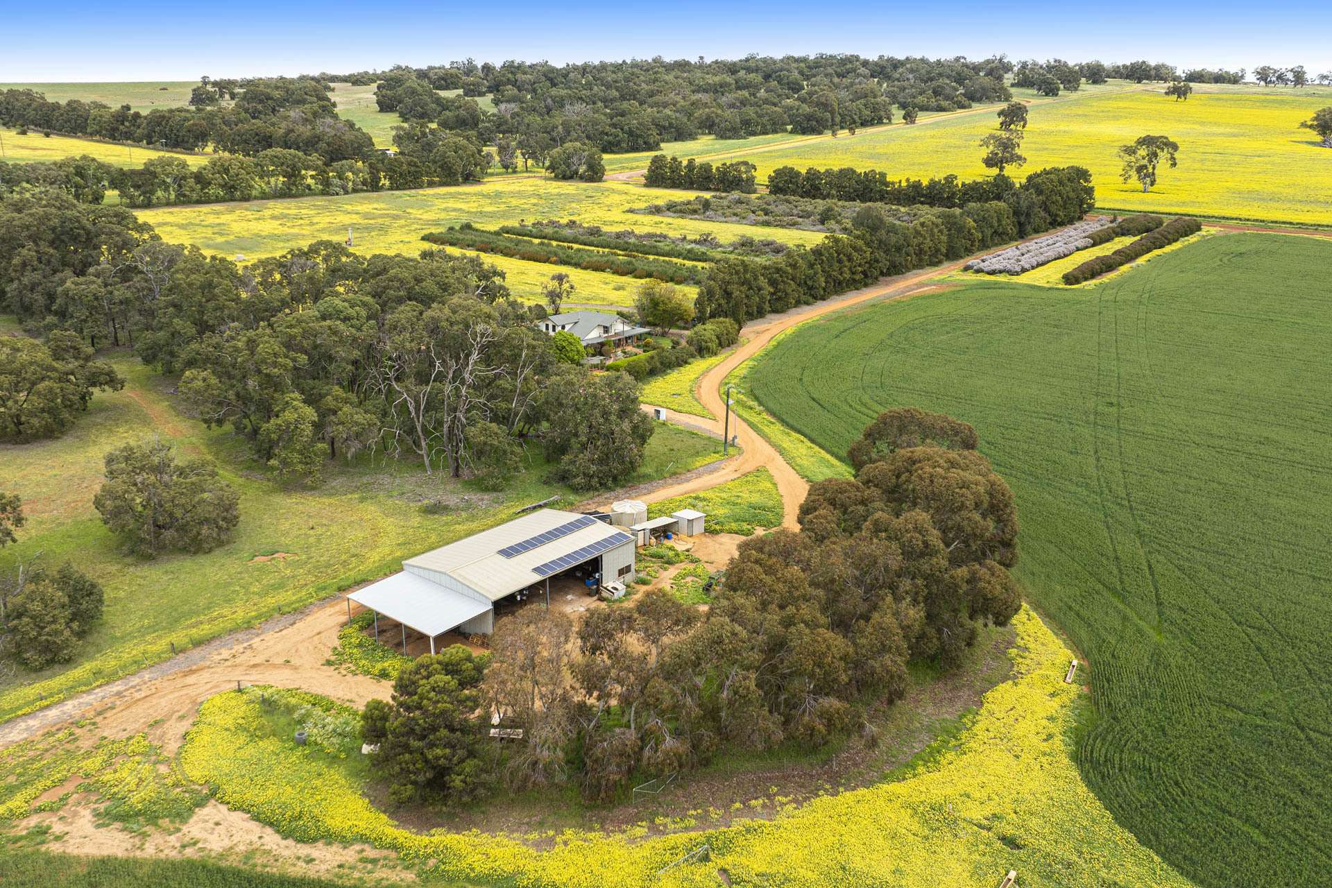 89 Vine Cottage Lane, Dandaragan For Sale by Farmbuy.com - image 24