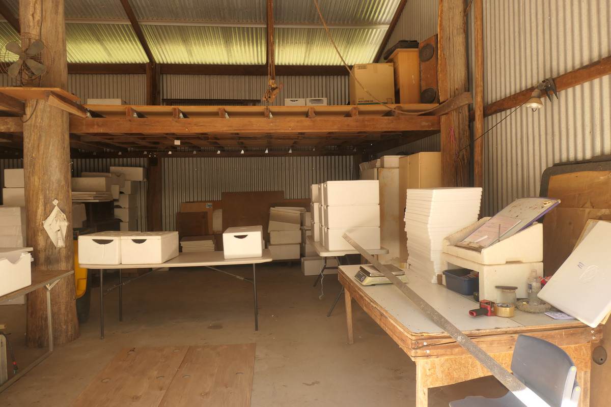 Bulldog For Sale by Farmbuy.com - image 16