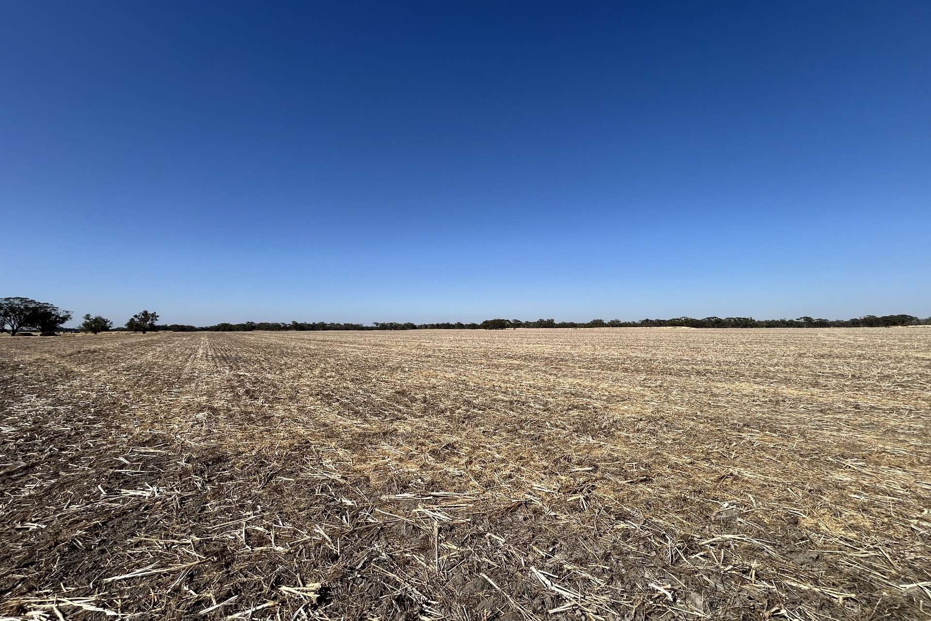 Dwarlacking Road, Bulyee Sold by Farmbuy.com - image 5