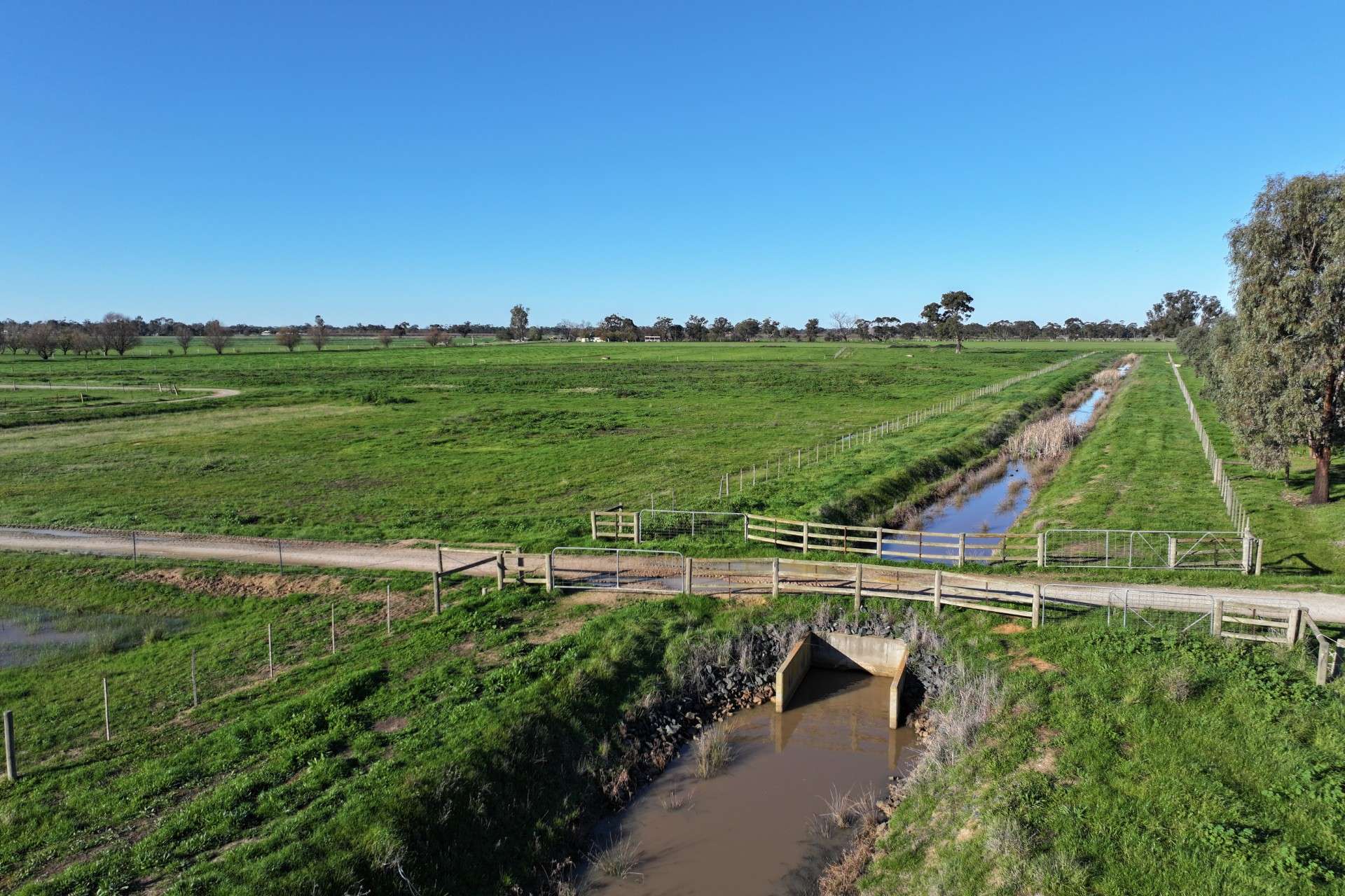 1480 Fennaughty Road, Merrigum For Sale by Farmbuy.com - image 8