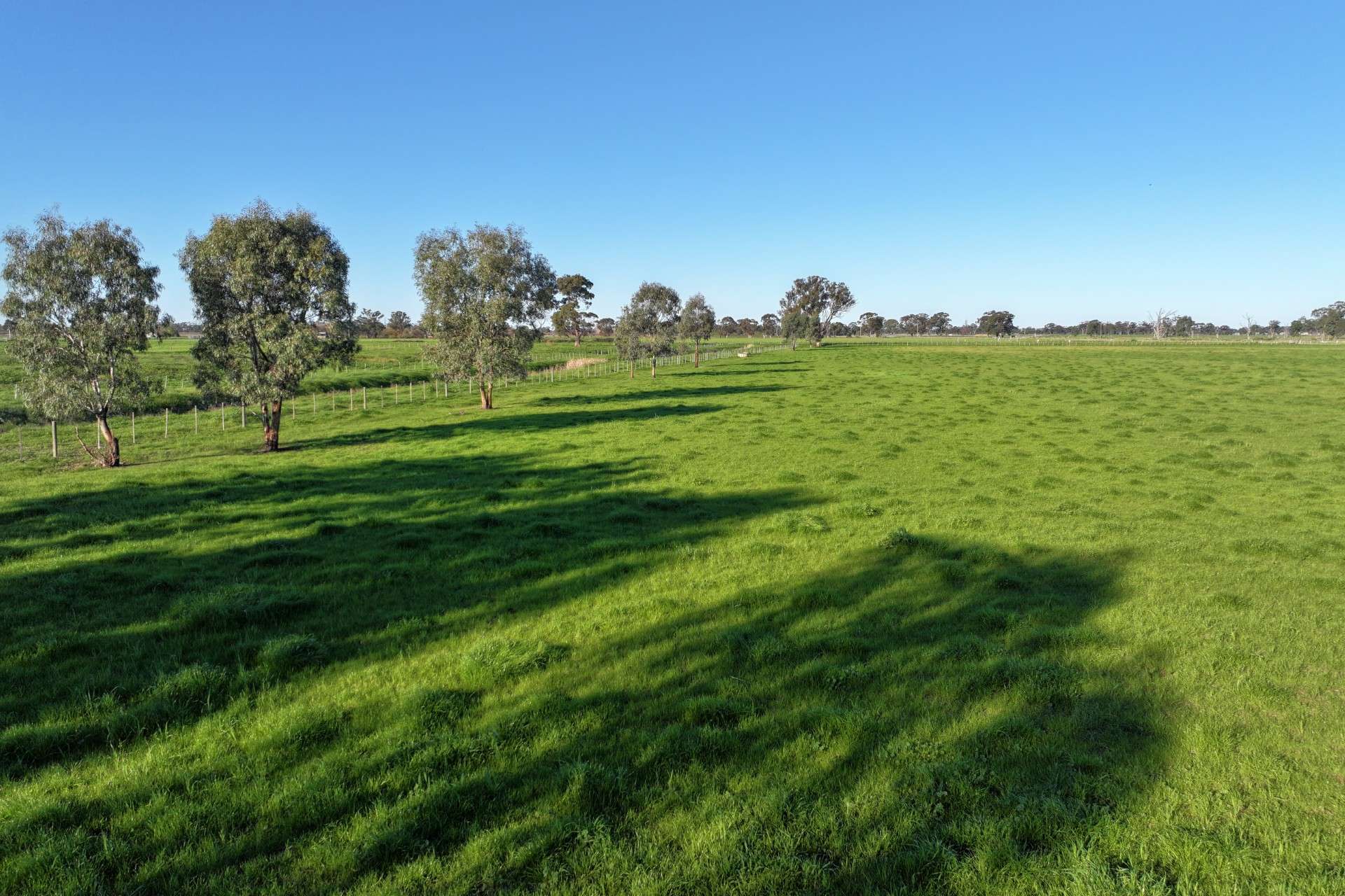 1480 Fennaughty Road, Merrigum For Sale by Farmbuy.com - image 10