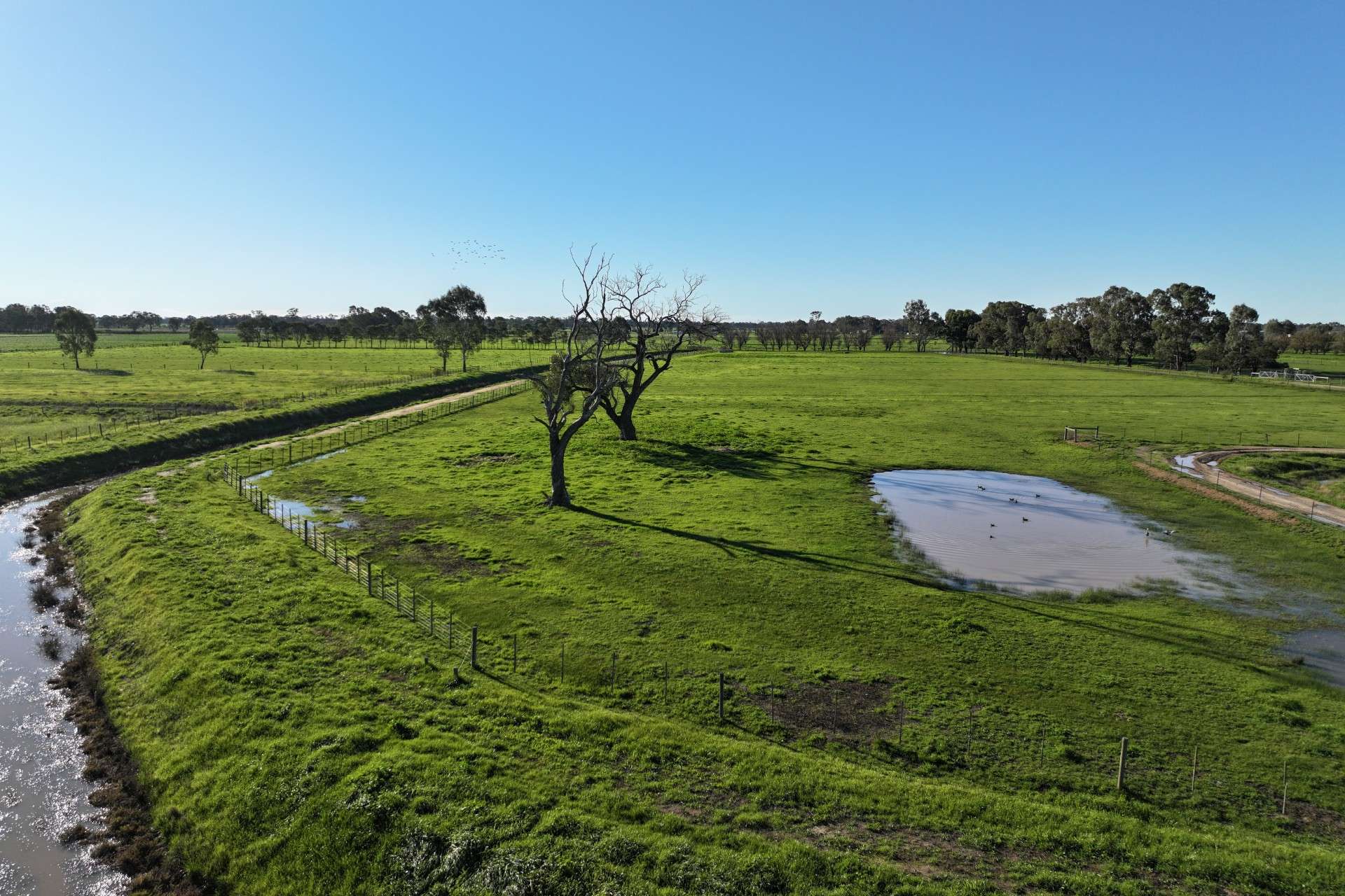 1480 Fennaughty Road, Merrigum For Sale by Farmbuy.com - image 7
