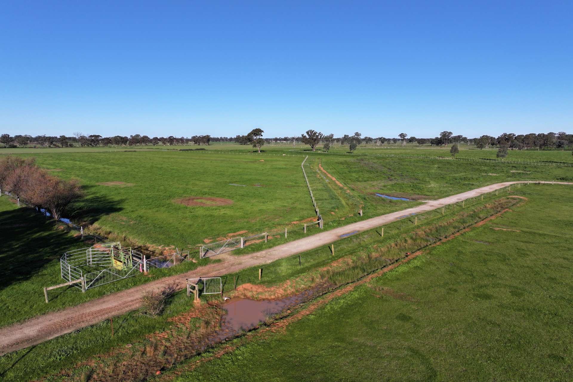 1480 Fennaughty Road, Merrigum For Sale by Farmbuy.com - image 5