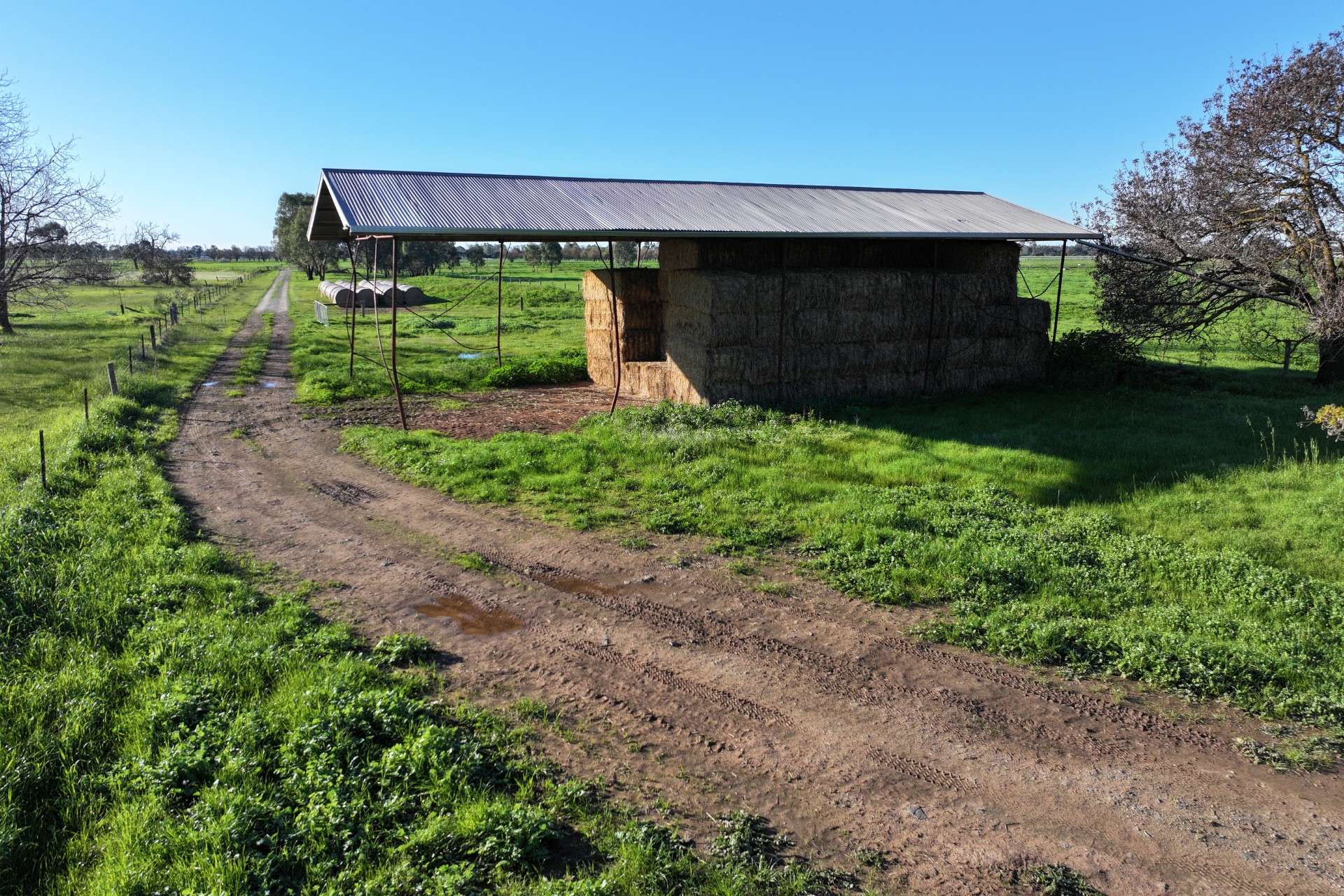 1480 Fennaughty Road, Merrigum For Sale by Farmbuy.com - image 3