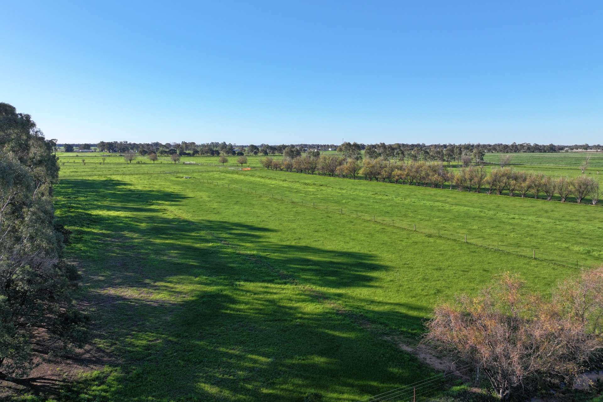 1480 Fennaughty Road, Merrigum For Sale by Farmbuy.com - image 6