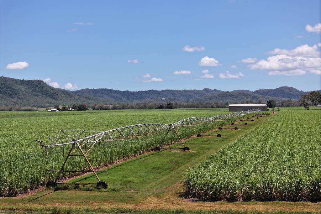 2143 Mackay Eungella Road, Mirani QLD 4754