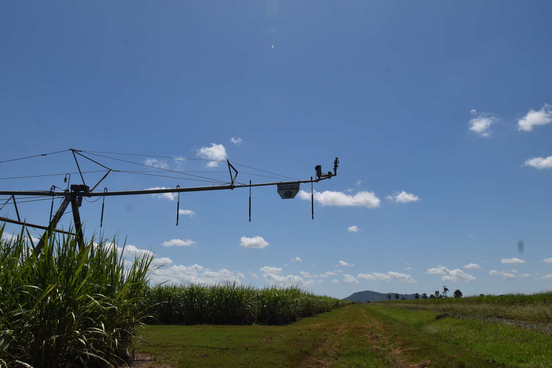 2143 Mackay Eungella Road, Mirani Auction by Farmbuy.com - image 14