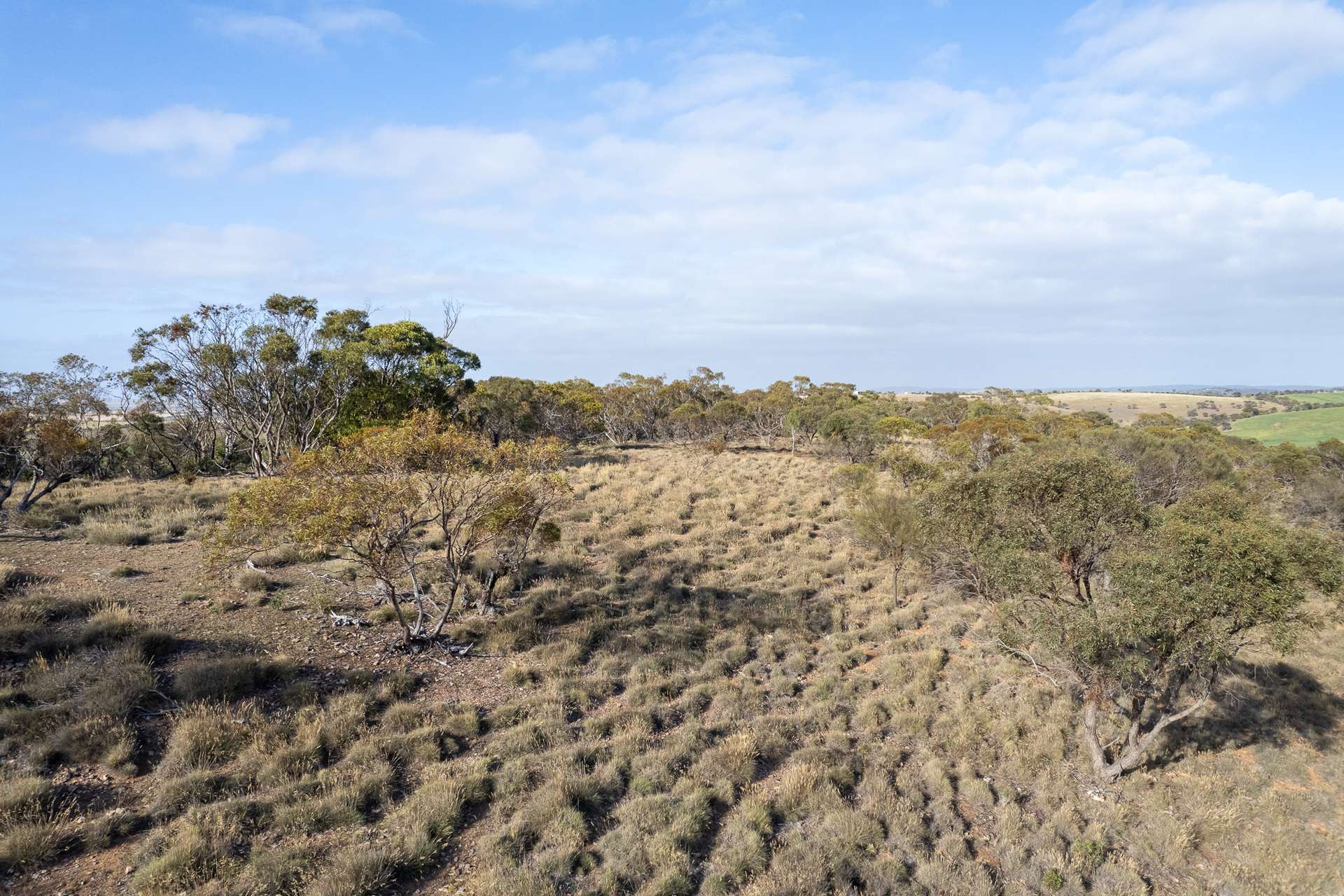 Lots 99 & Bawdens Road, Tumby Bay For Sale by Farmbuy.com - image 18