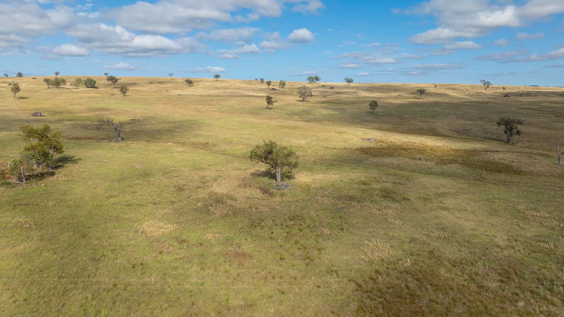 'Jacksons Block' Bendemeer Road, Uralla Sold by Farmbuy.com - image 22