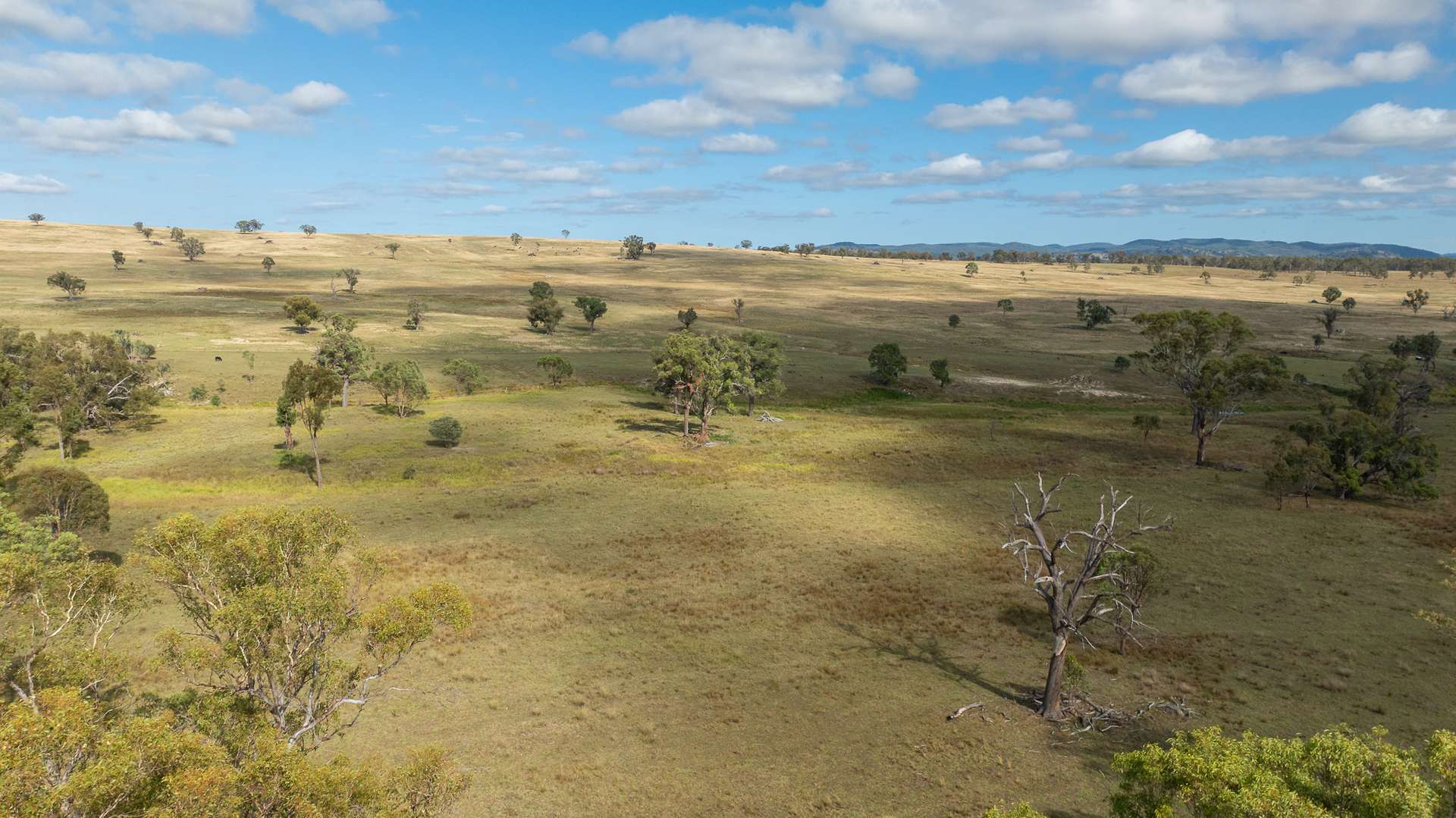 'Jacksons Block' Bendemeer Road, Uralla Sold by Farmbuy.com - image 21