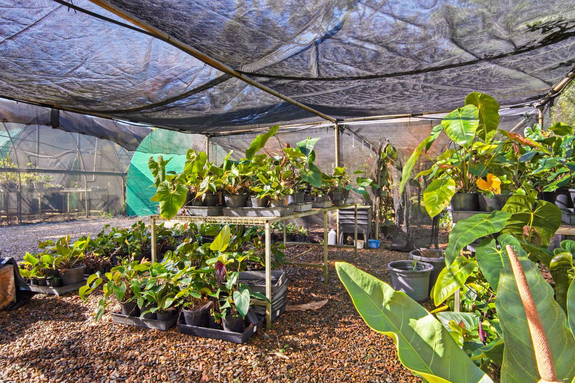 220 Bicentennial Drive, Agnes Water For Sale by Farmbuy.com - image 25