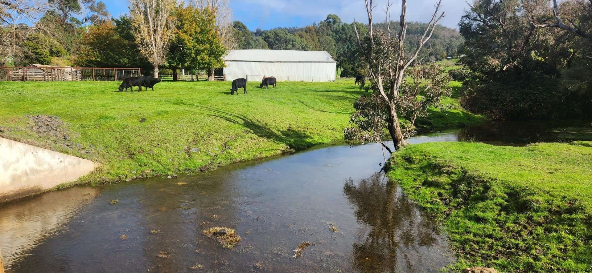 21 Airstrip Rd, Balingup For Sale by Farmbuy.com - image 4