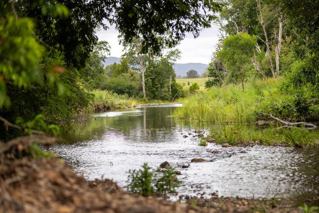 63 Mount Coxcomb Road, Upper Lansdowne NSW 2430