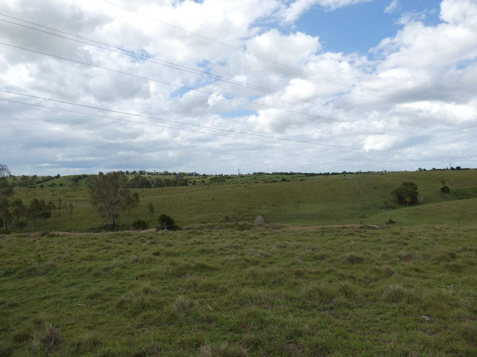 Lot 2 Stevens Road, Dallarnil For Sale by Farmbuy.com - image 11