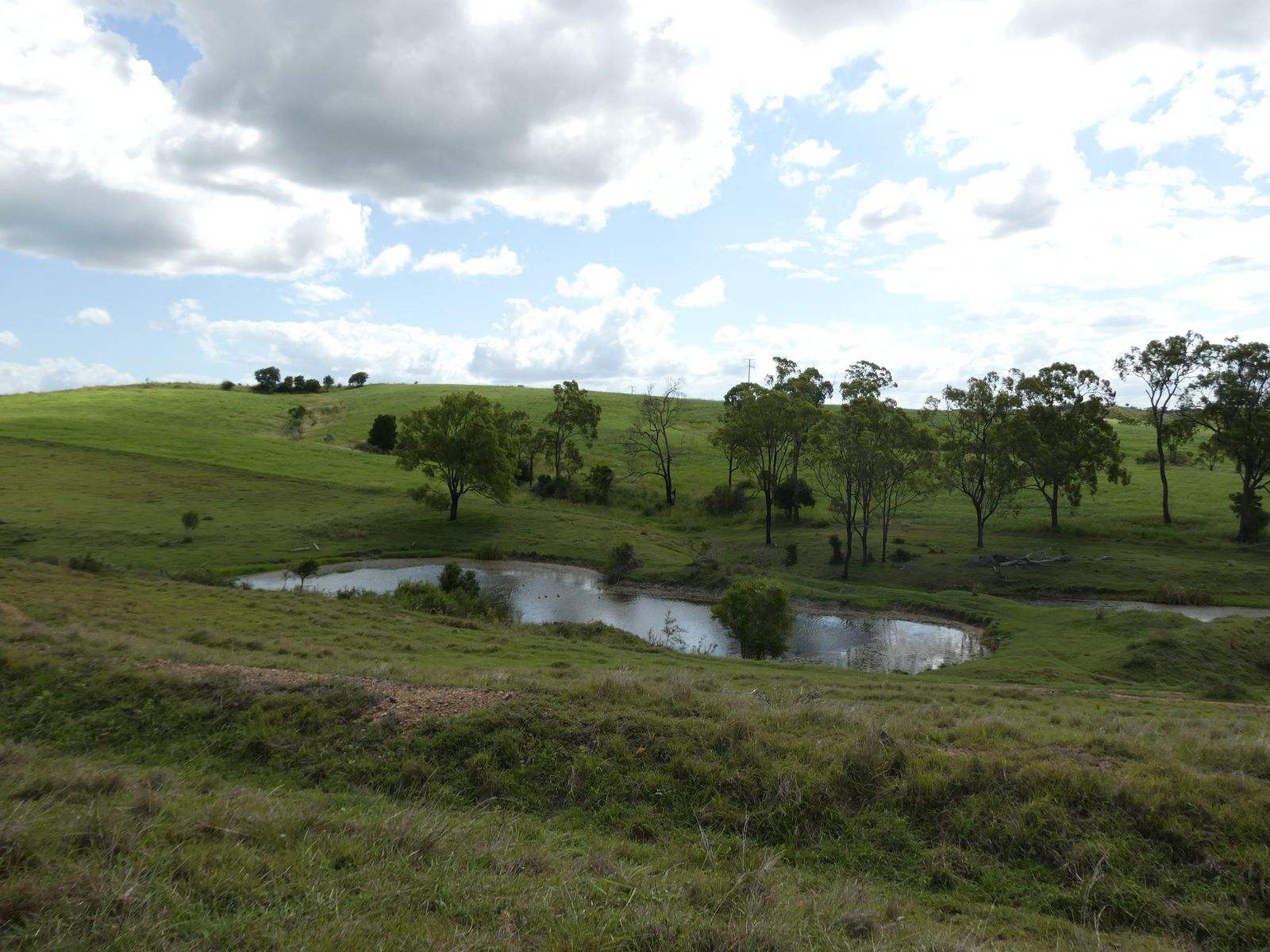 Lot 2 Stevens Road, Dallarnil For Sale by Farmbuy.com - image 17