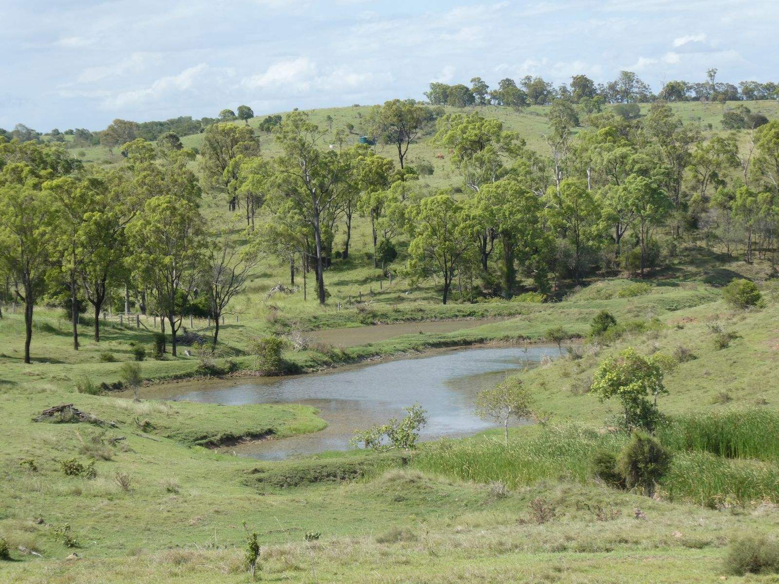 Lot 2 Stevens Road, Dallarnil For Sale by Farmbuy.com - image 14