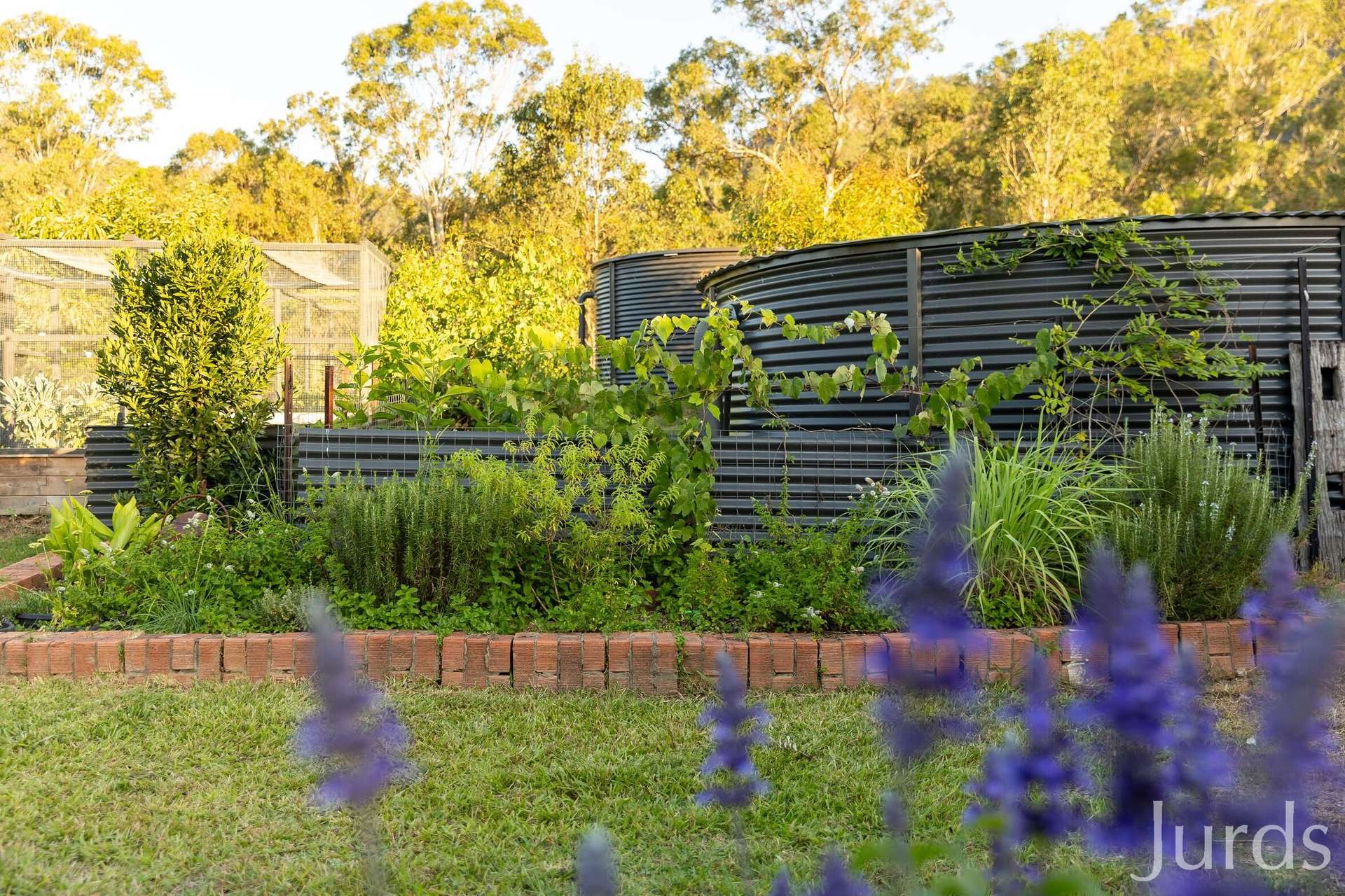 1066 Wollombi Road, Broke For Sale by Farmbuy.com - image 32