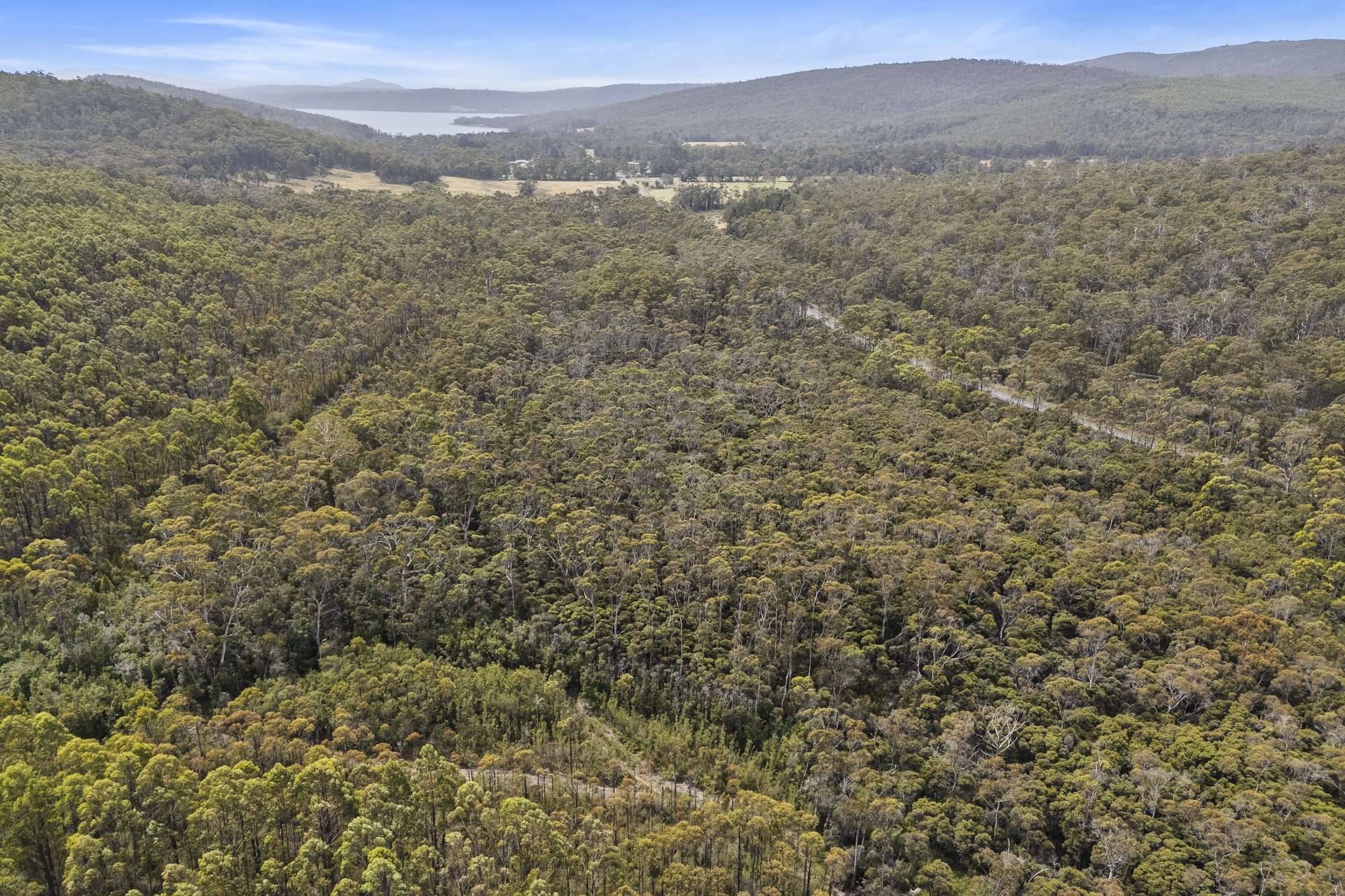 6184 Arthur Highway, Taranna For Sale by Farmbuy.com - image 4