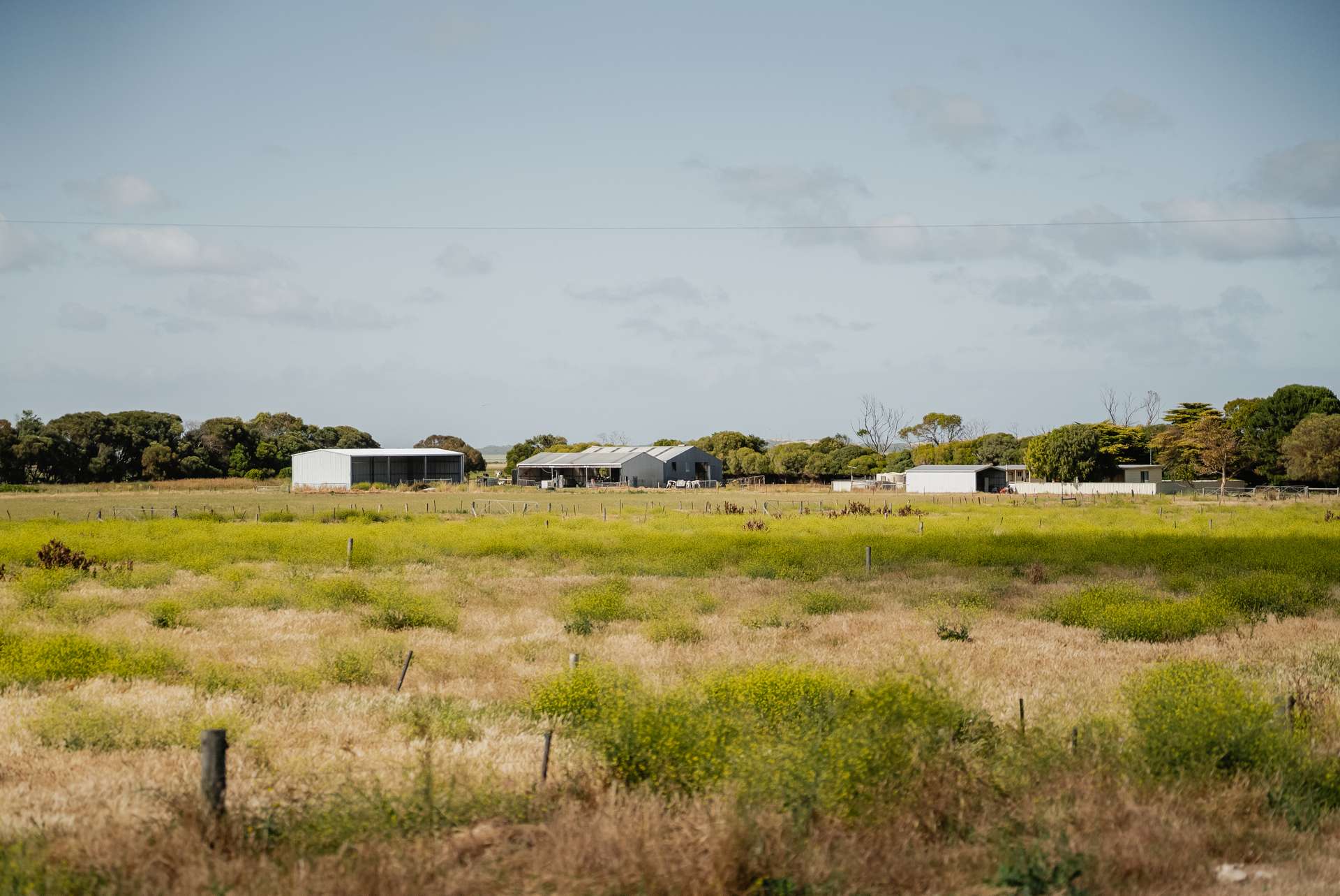 54 Lake Bonney Access Road, Tantanoola For Sale by Farmbuy.com - image 9