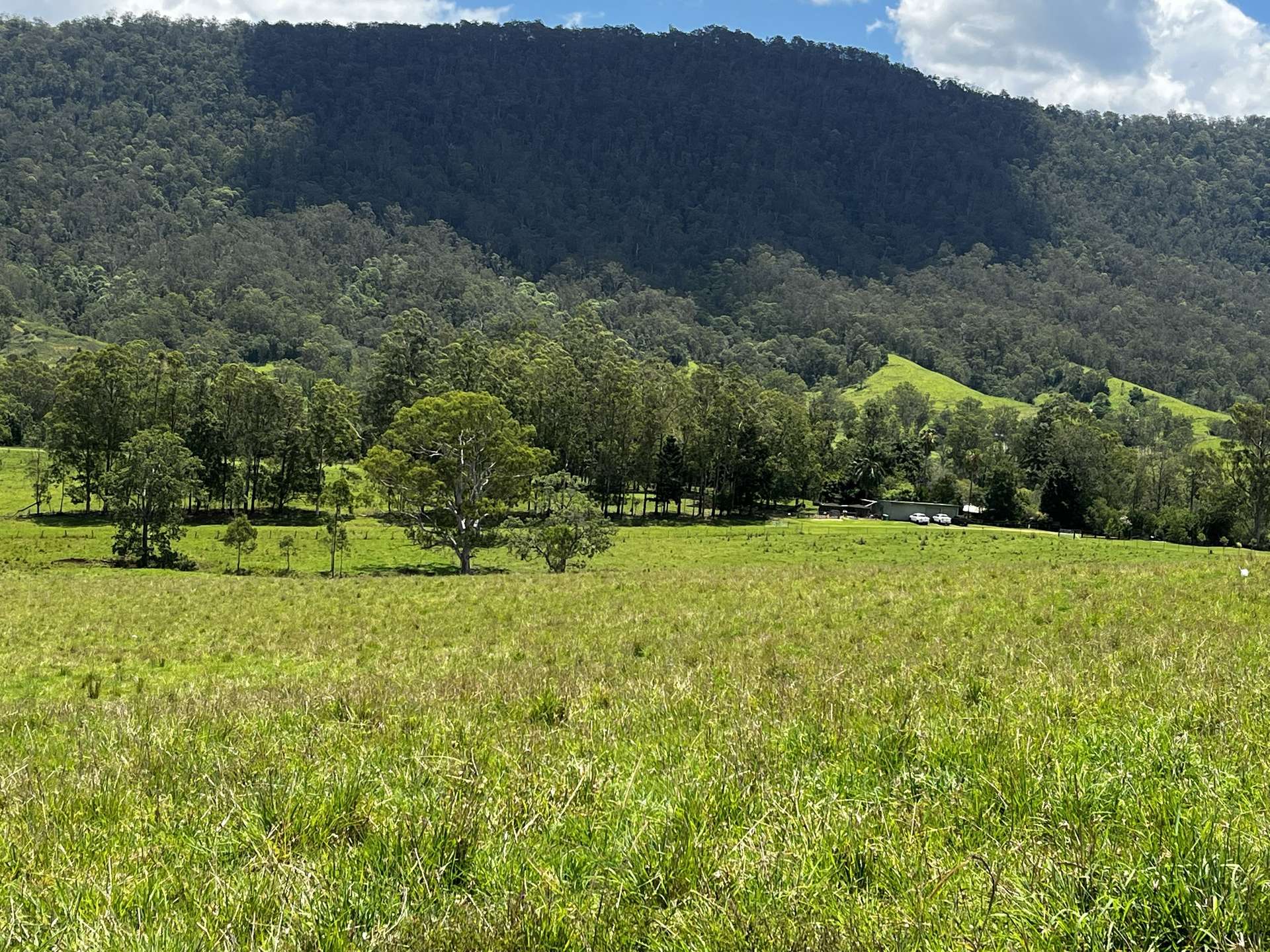 Lot 481 Sherwoods Rd, Kyogle For Sale by Farmbuy.com - image 3