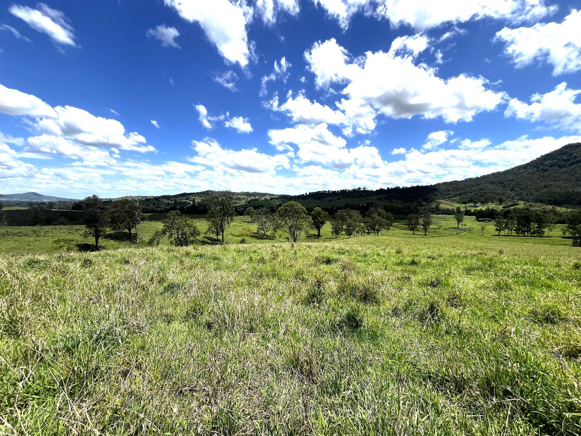 Lot 481 Sherwoods Rd, Kyogle For Sale by Farmbuy.com - image 5
